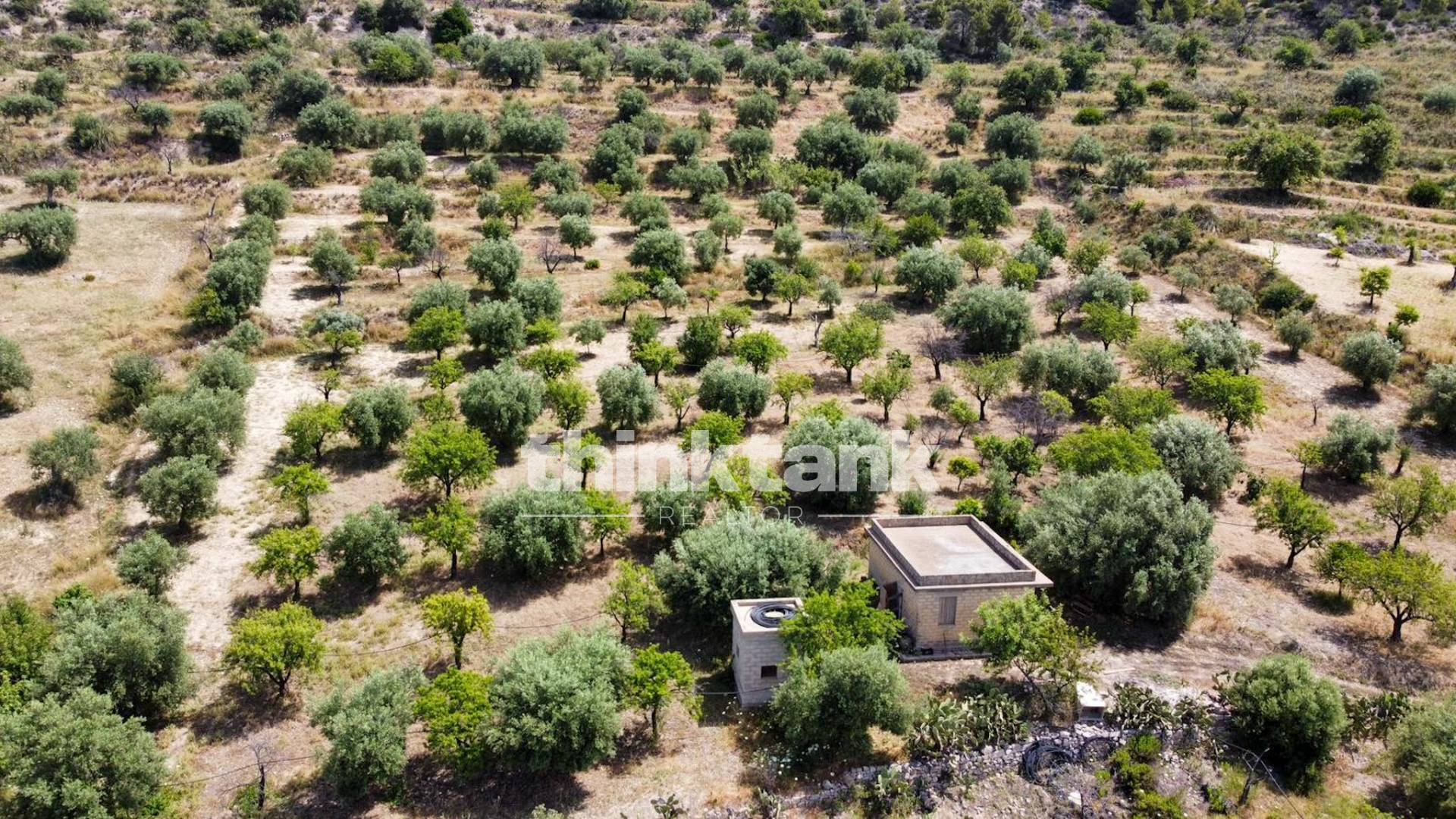 Terreno agricolo in vendita a Noto
