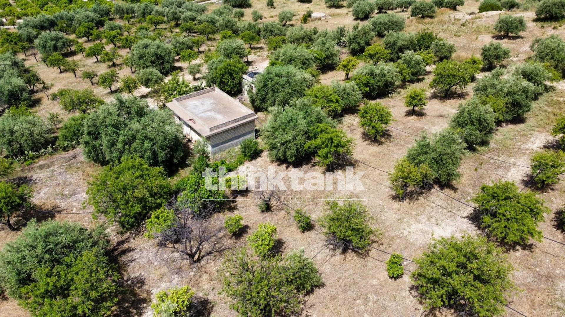Terreno agricolo in vendita a Noto