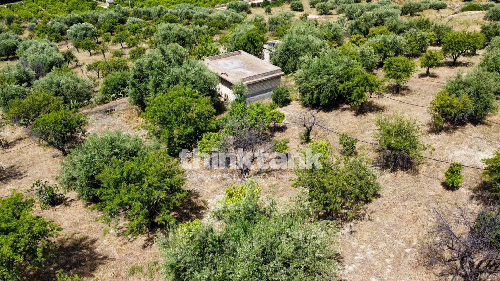 Terreno agricolo in vendita a Noto