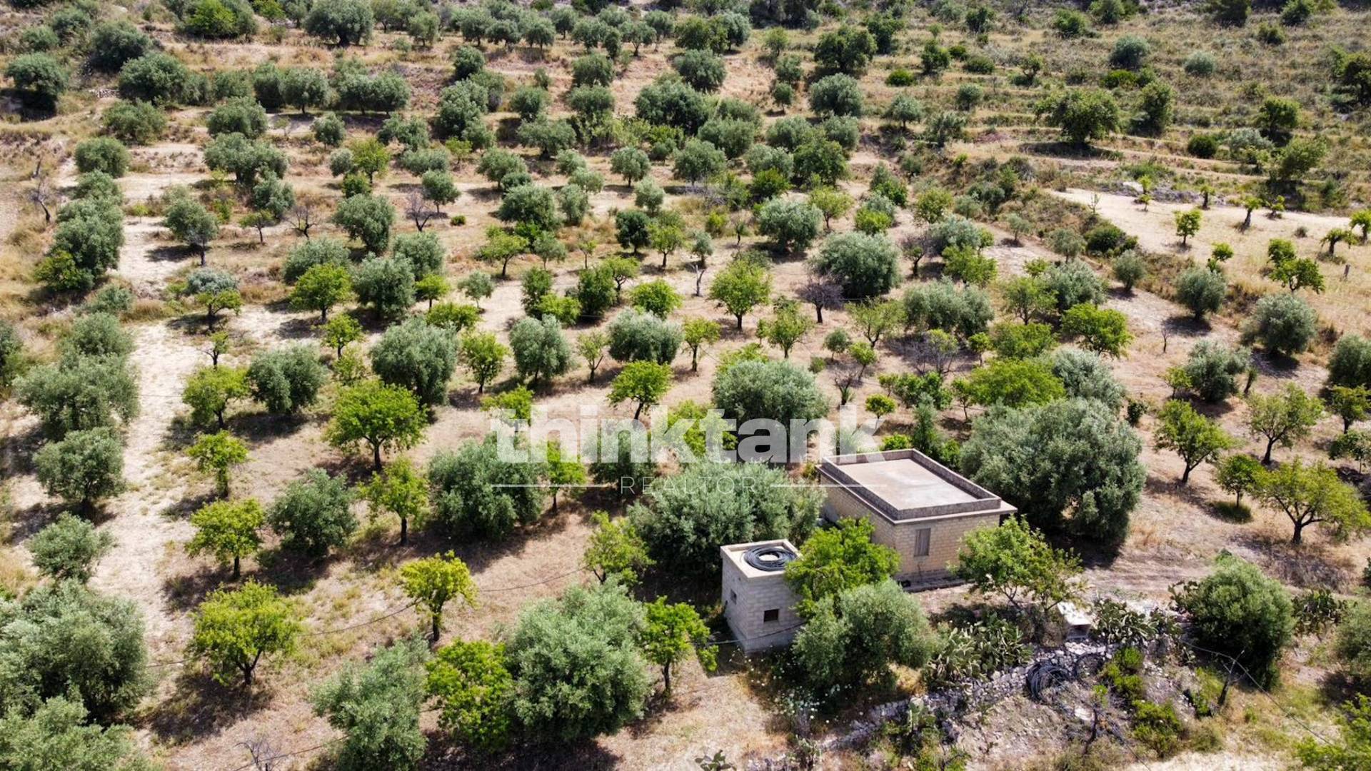 Terreno agricolo in vendita a Noto