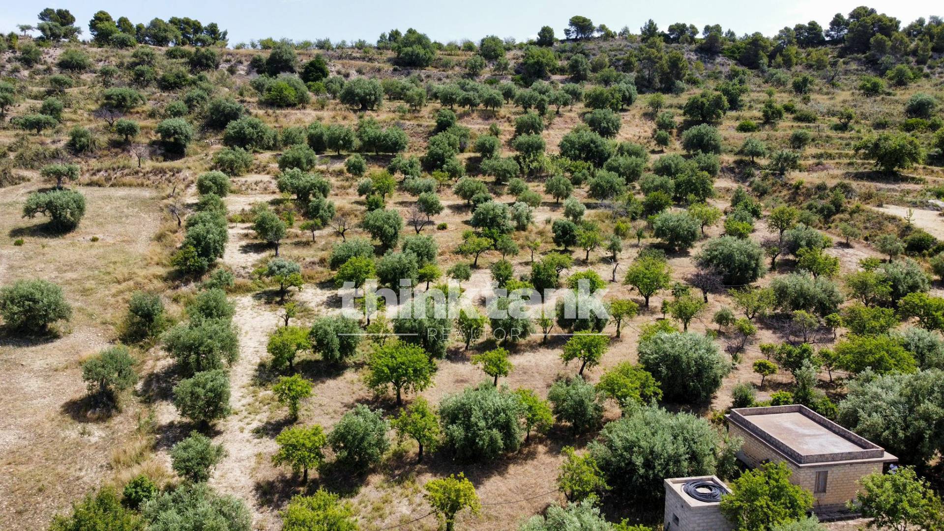 Terreno agricolo in vendita a Noto