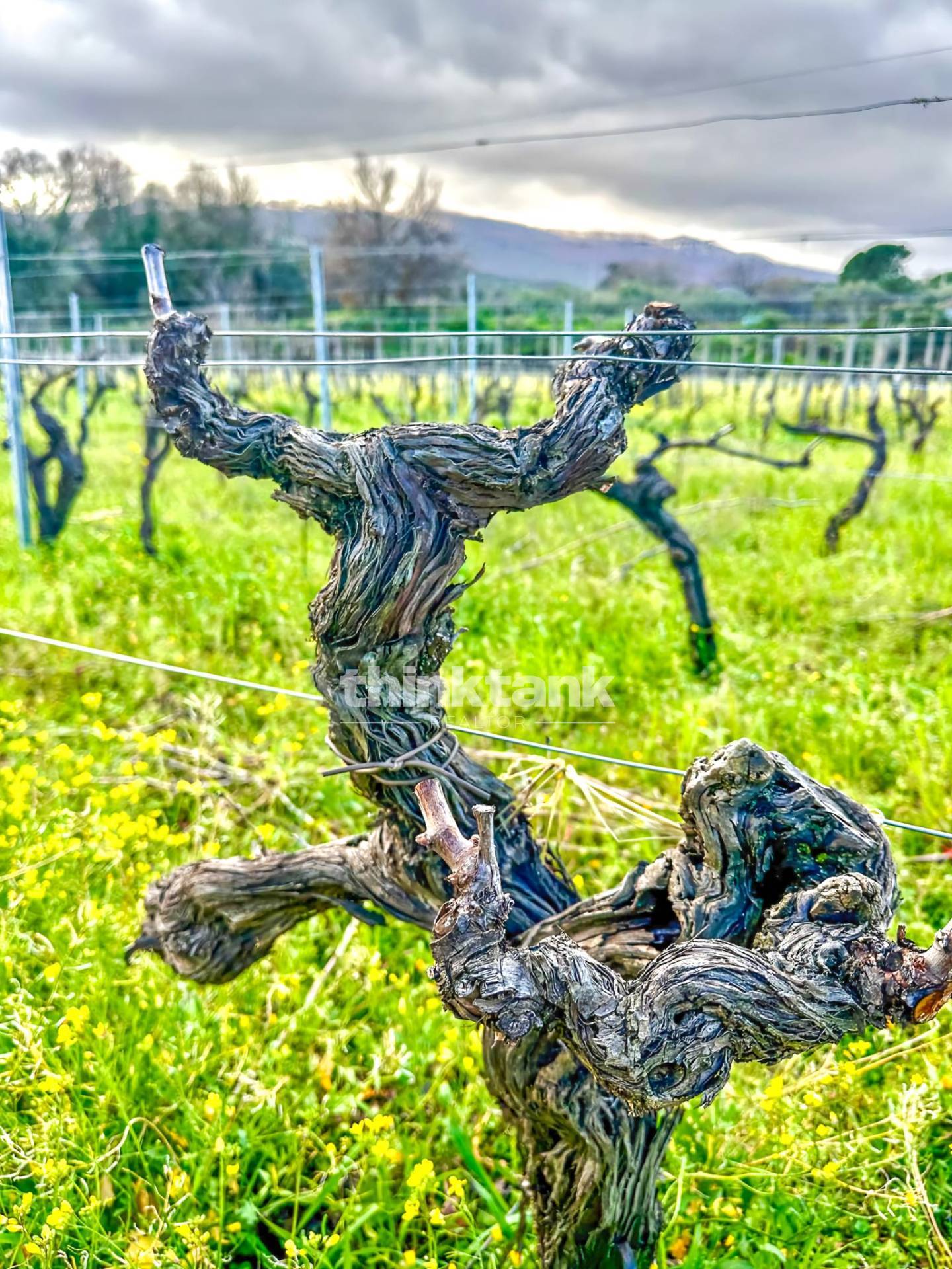 Casa singola in vendita a Castiglione di Sicilia