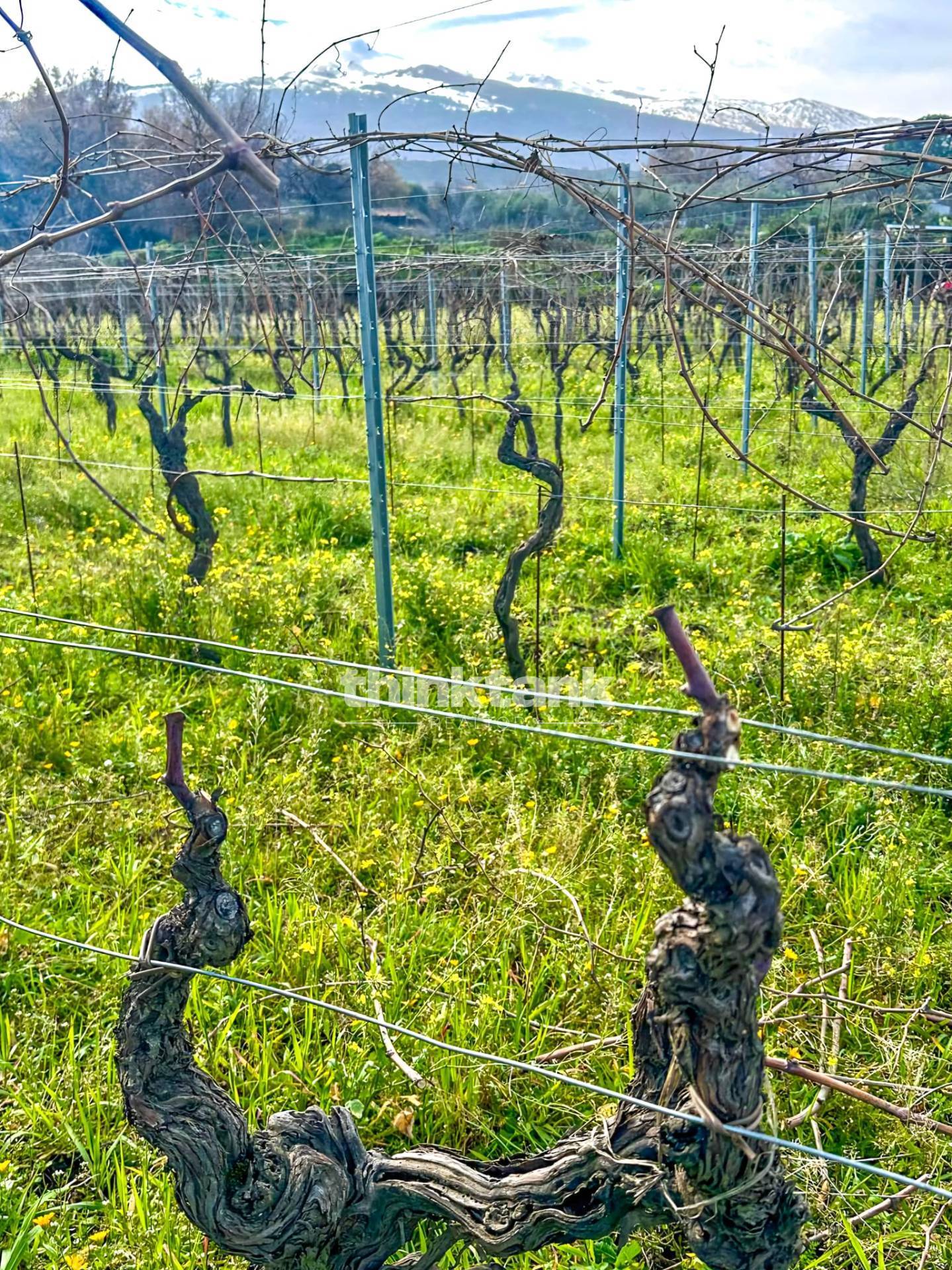 Casa singola in vendita a Castiglione di Sicilia