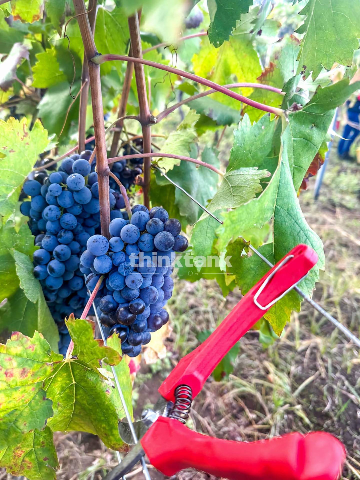 Casa singola in vendita a Castiglione di Sicilia