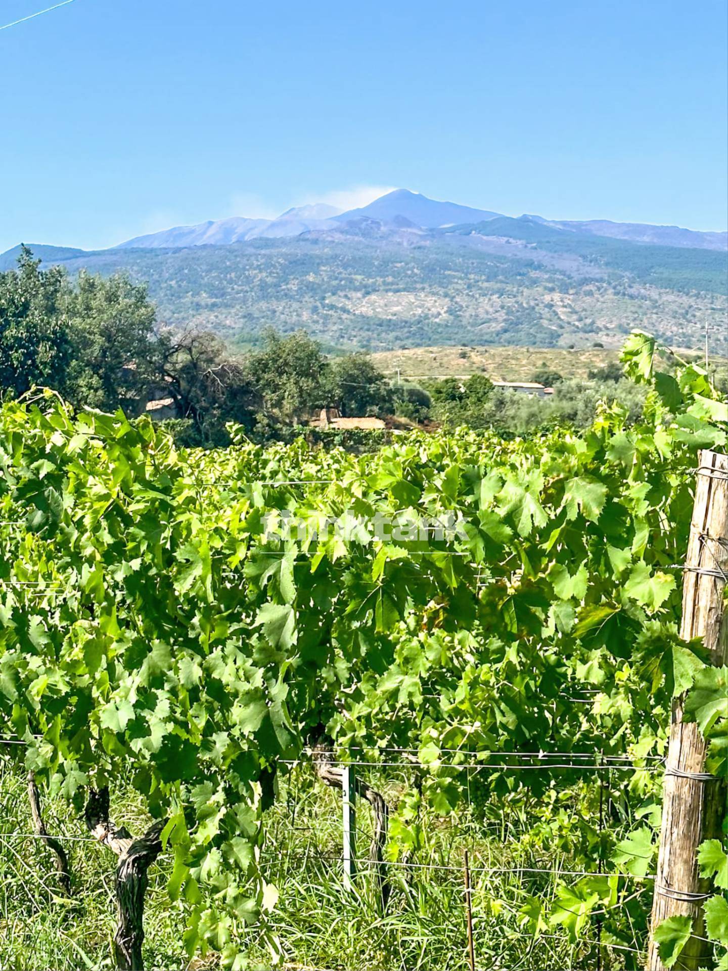 Casa singola in vendita a Castiglione di Sicilia