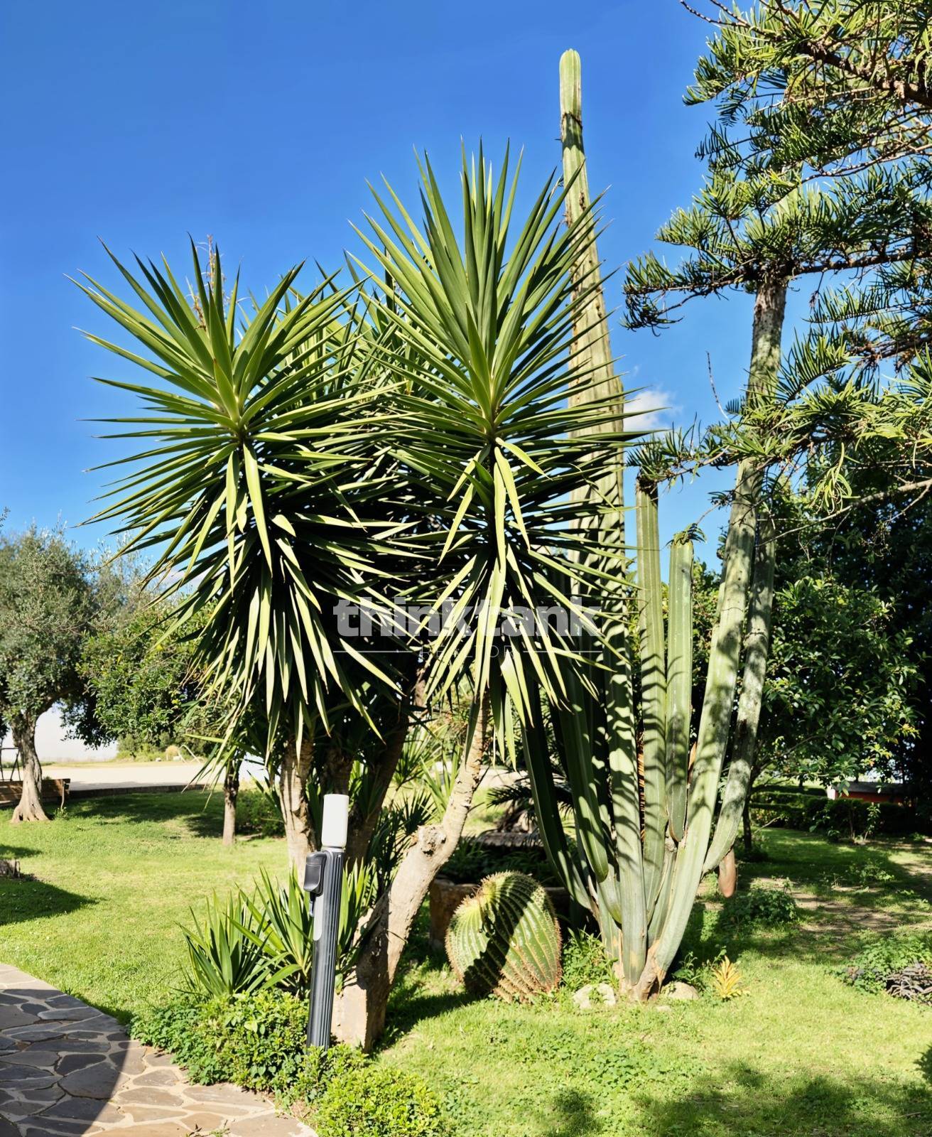 Villa in vendita a Siracusa