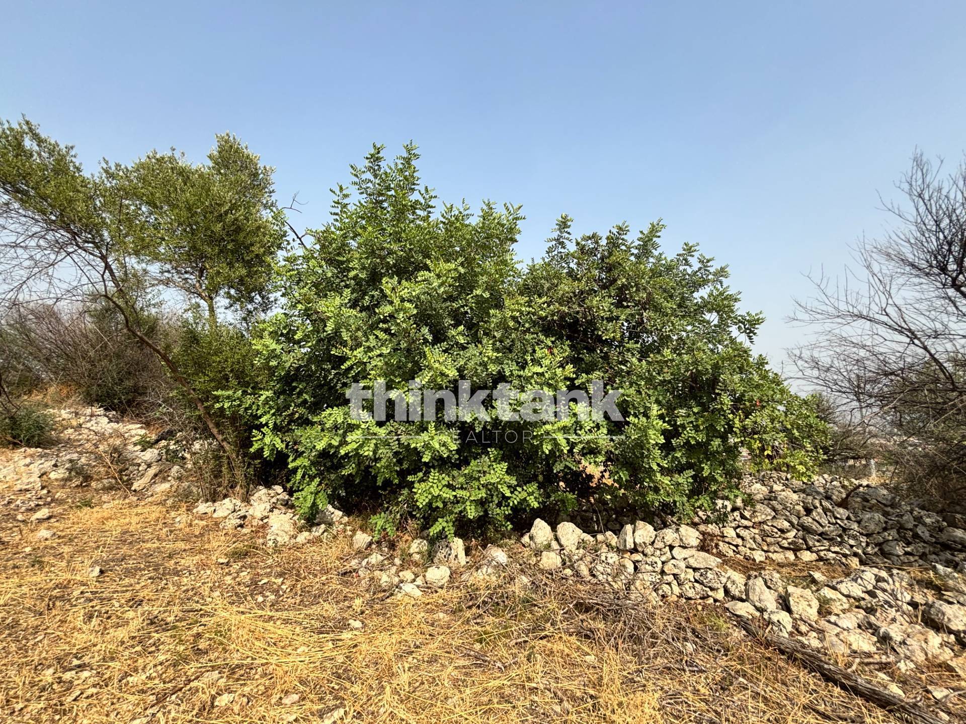Terreno agricolo in vendita a Solarino