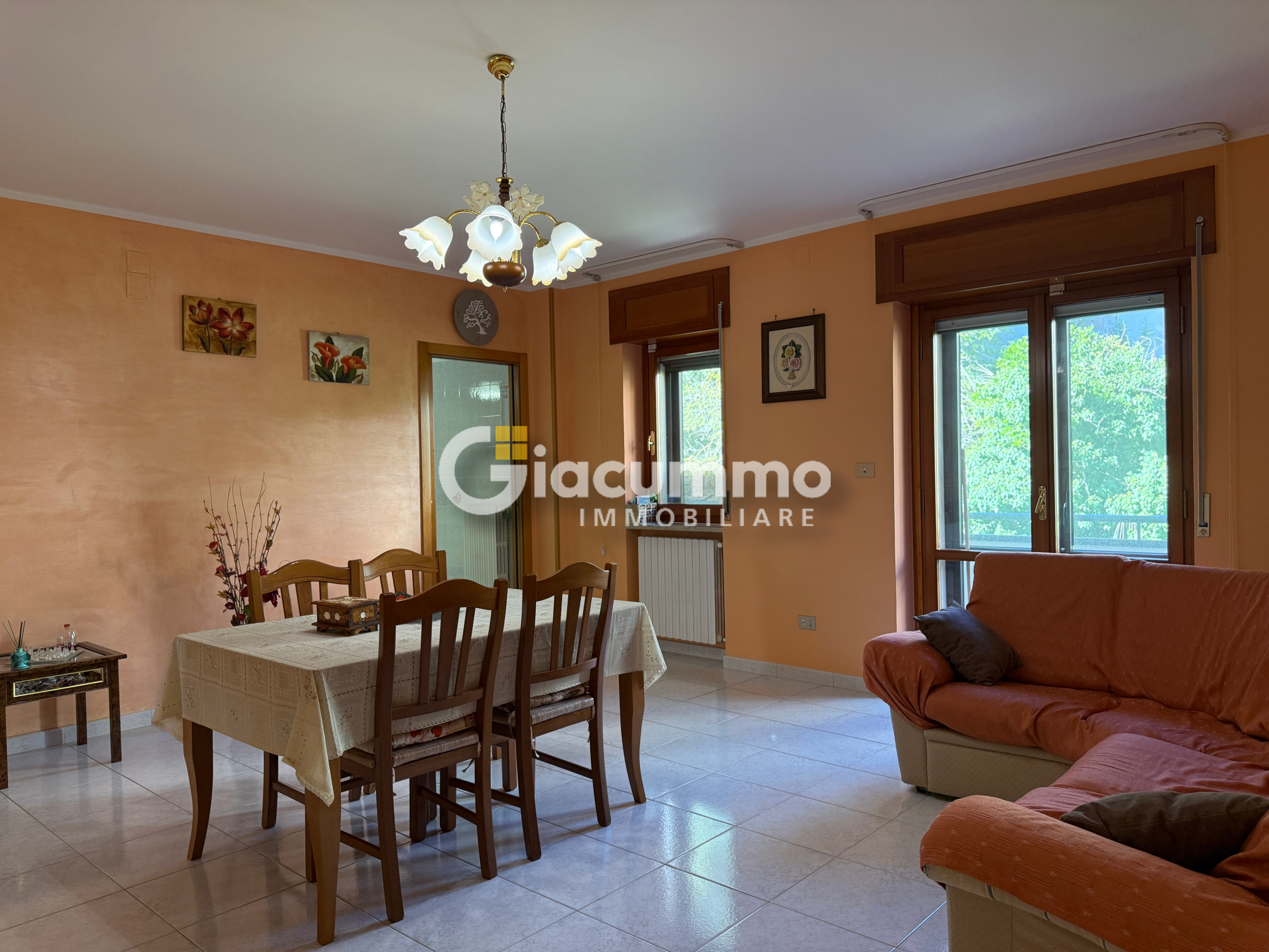 immagine annuncio 3 di 6