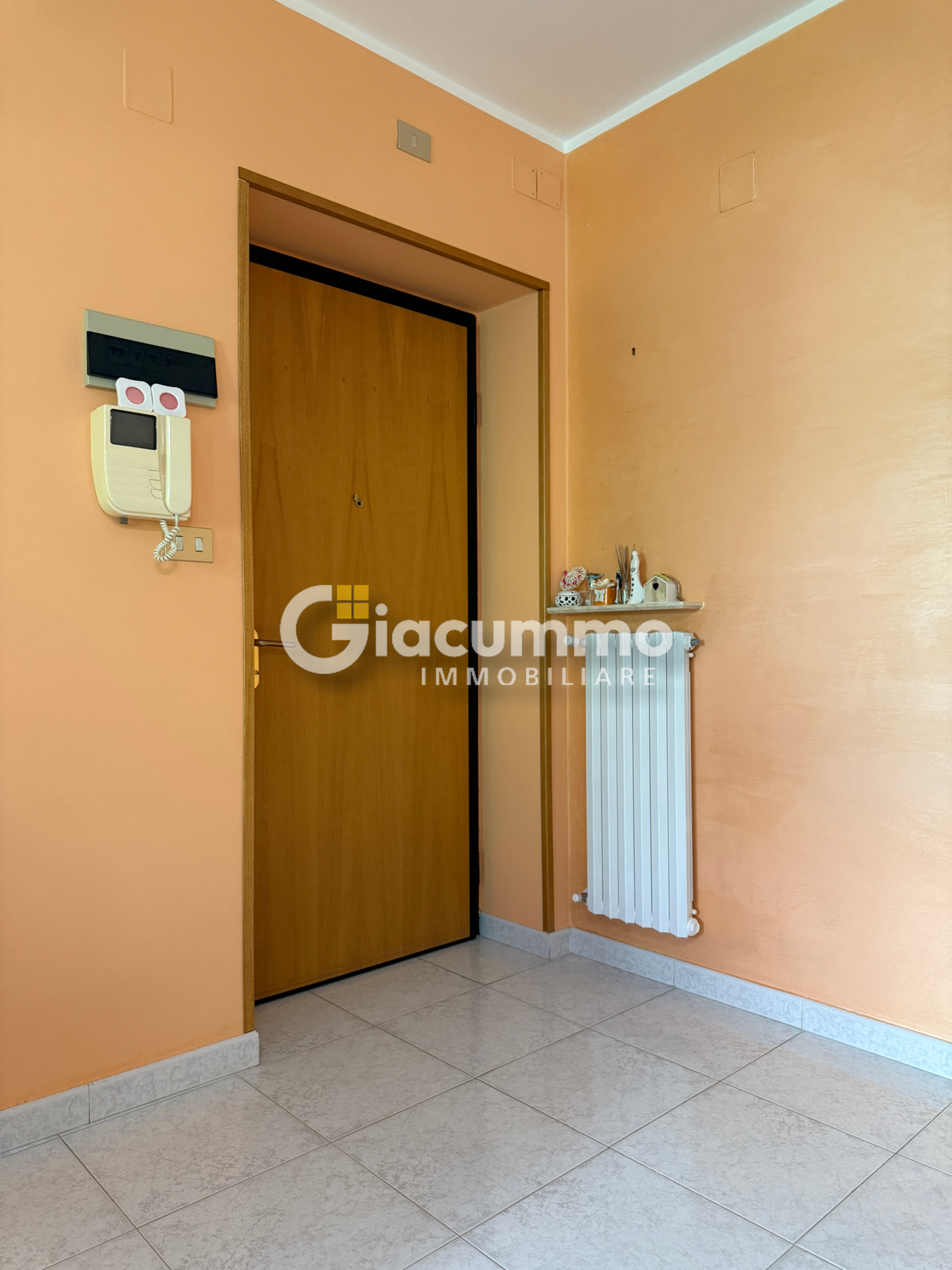 immagine annuncio 4 di 6