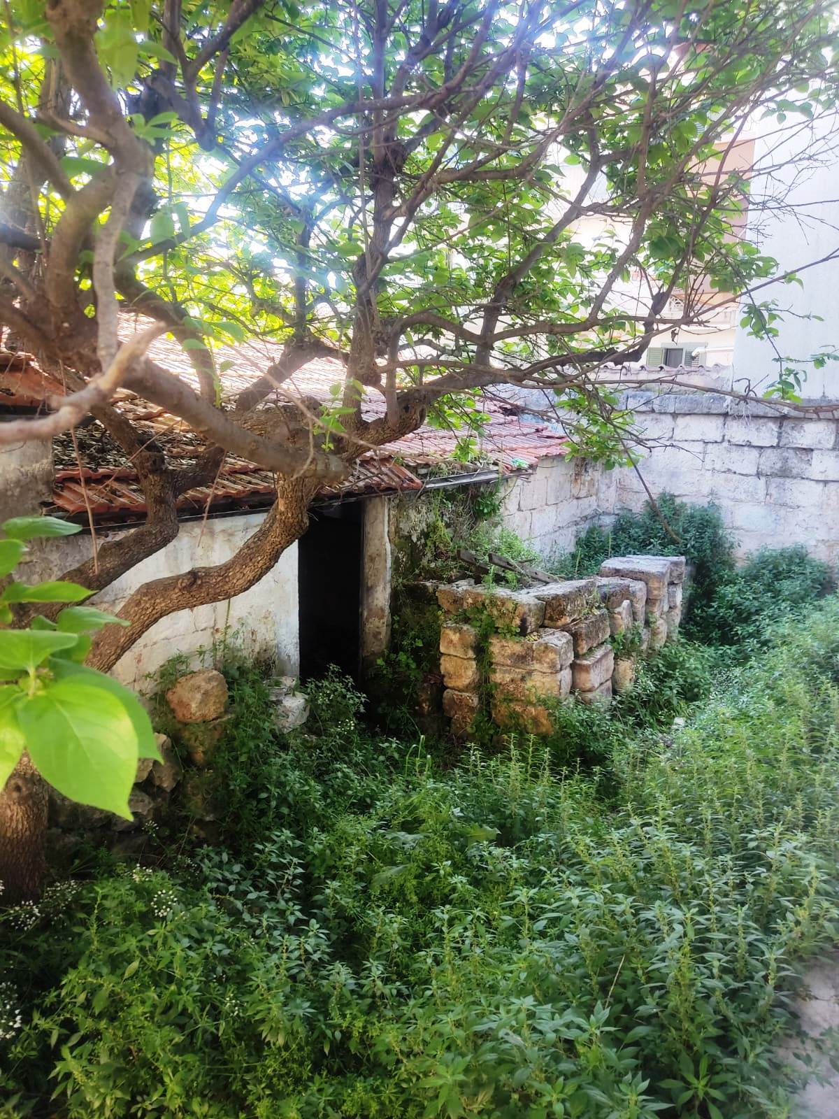 Rustico in vendita in vico aurelio saffi 4, Sammichele di Bari
