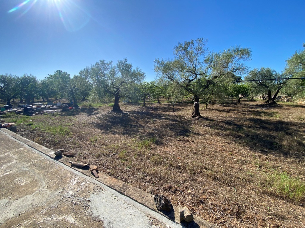 Terreno Agricolo in vendita in via vicinale oronzino 5296, Gioia del Colle