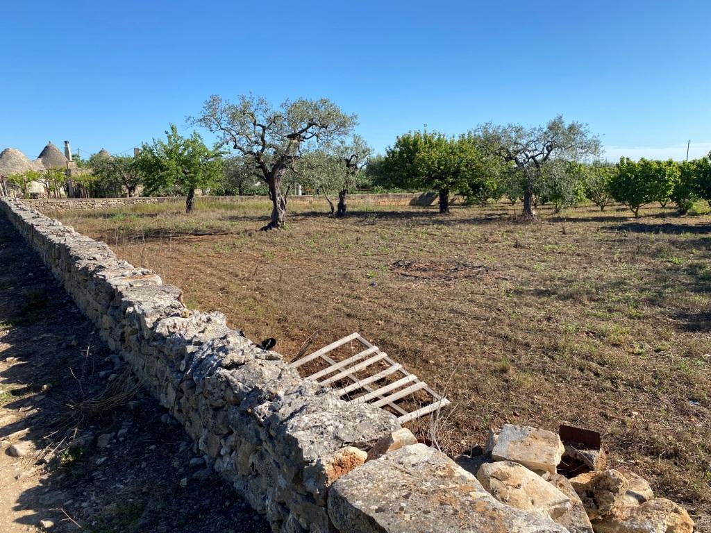 Terreno Agricolo in vendita in via vicinale oronzino 5296, Gioia del Colle