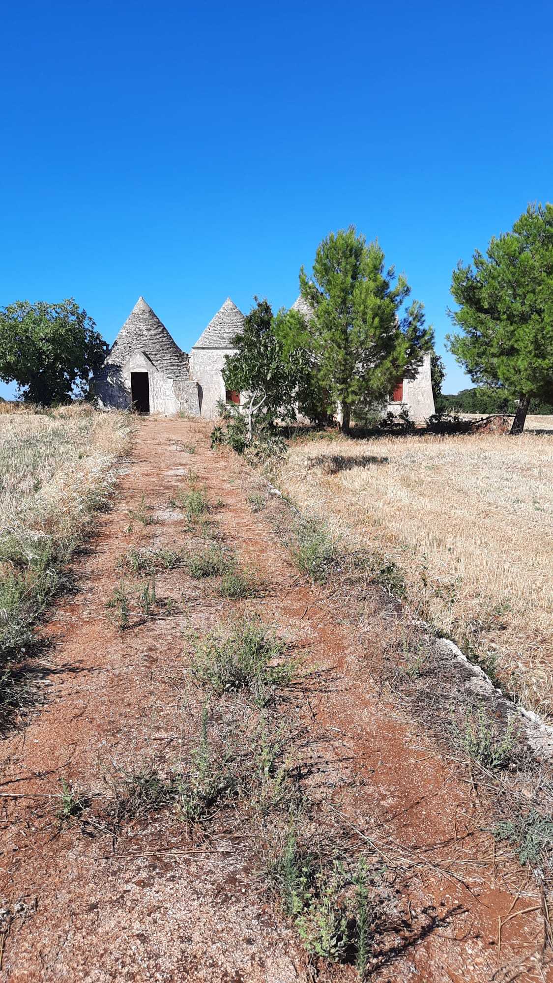 Villa da ristrutturare in contrada malvischi, Alberobello