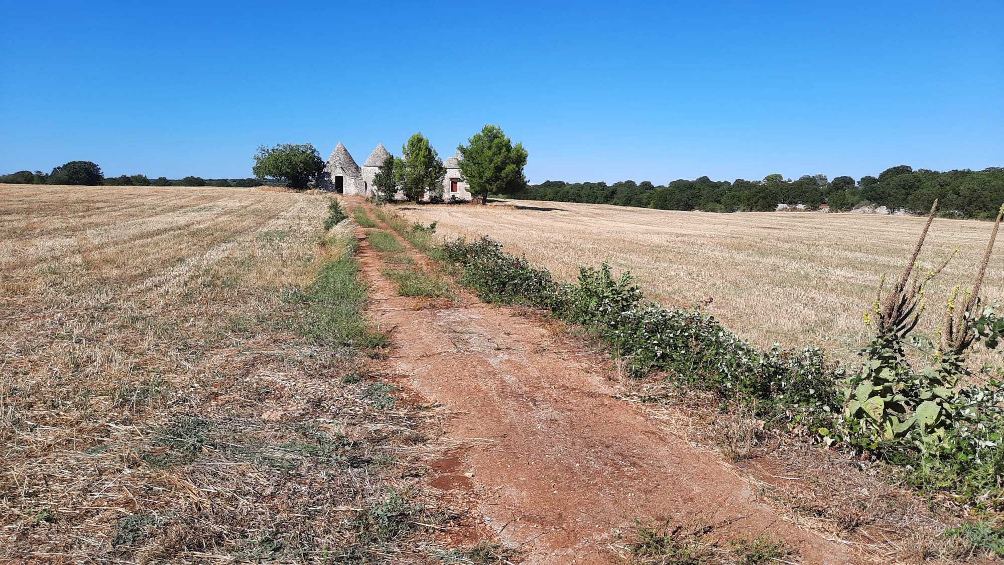 Villa da ristrutturare in contrada malvischi, Alberobello