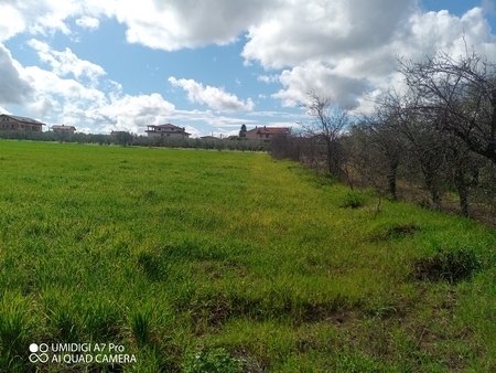 Terreno Agricolo in vendita a Fossacesia