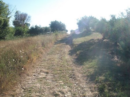 Terreno Agricolo in vendita in c.da rizzacorno, Lanciano