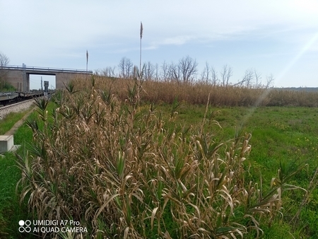 Terreno Agricolo in vendita in localita' civitella, Paglieta
