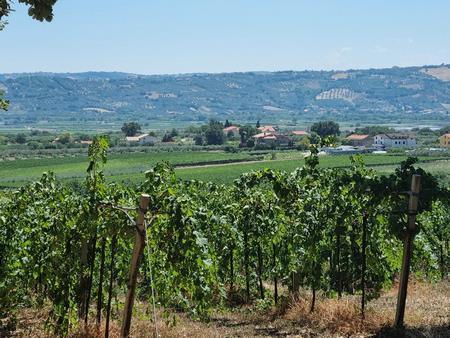 Terreno Agricolo in vendita a Santa Maria Imbaro