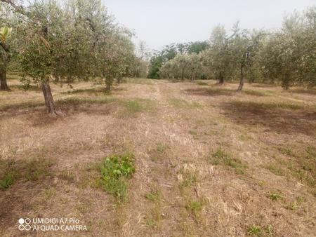 Terreno Agricolo in vendita in c.da villa stanazzo, Lanciano
