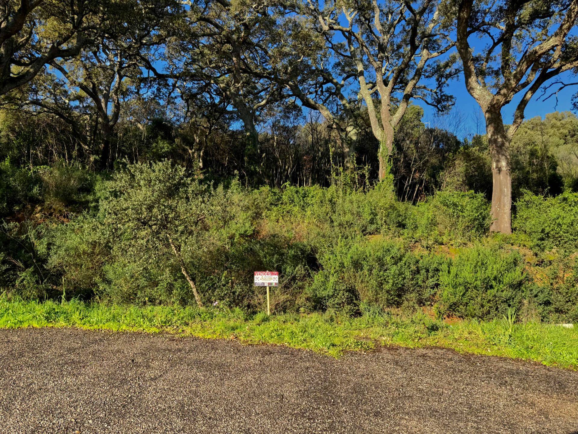 TERRENO EDIFICABILE ZONA RESIDENZIALE LUOGOSANTO in vendita a Luogosanto