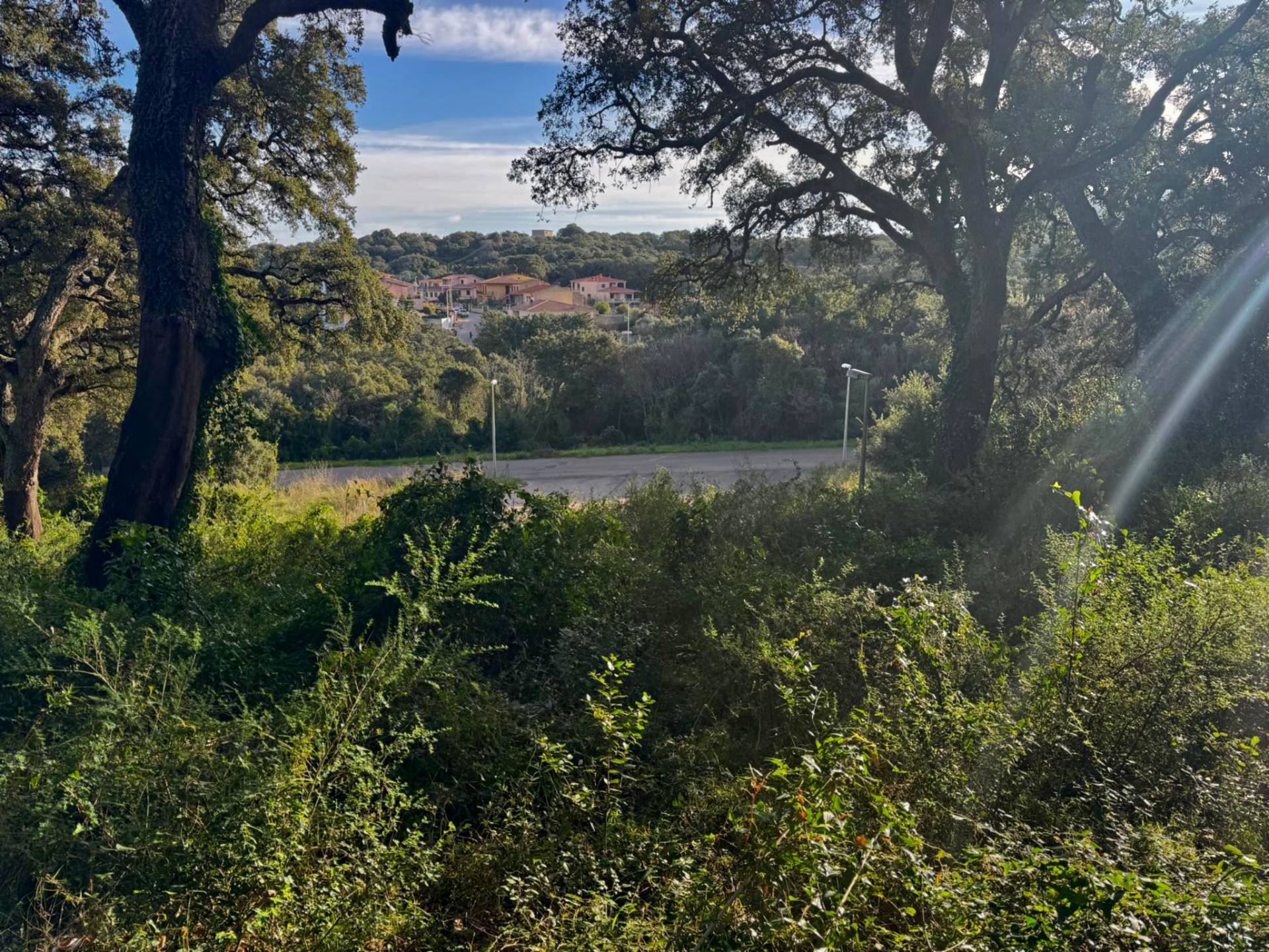 TERRENO EDIFICABILE ZONA RESIDENZIALE LUOGOSANTO in vendita a Luogosanto