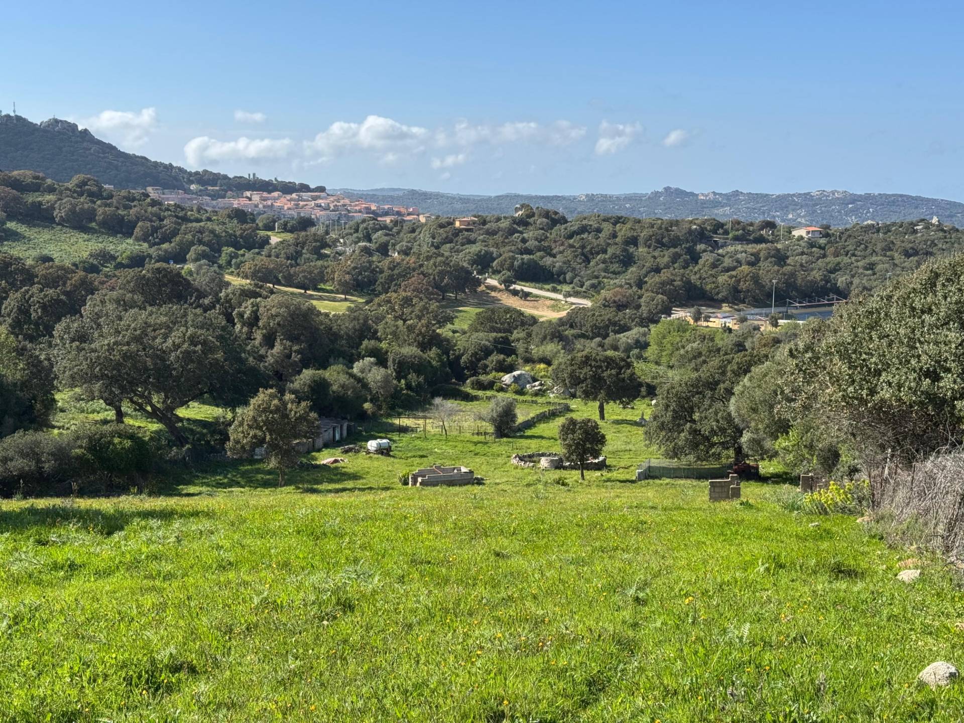 TERRENO AGRICOLO ZONA 