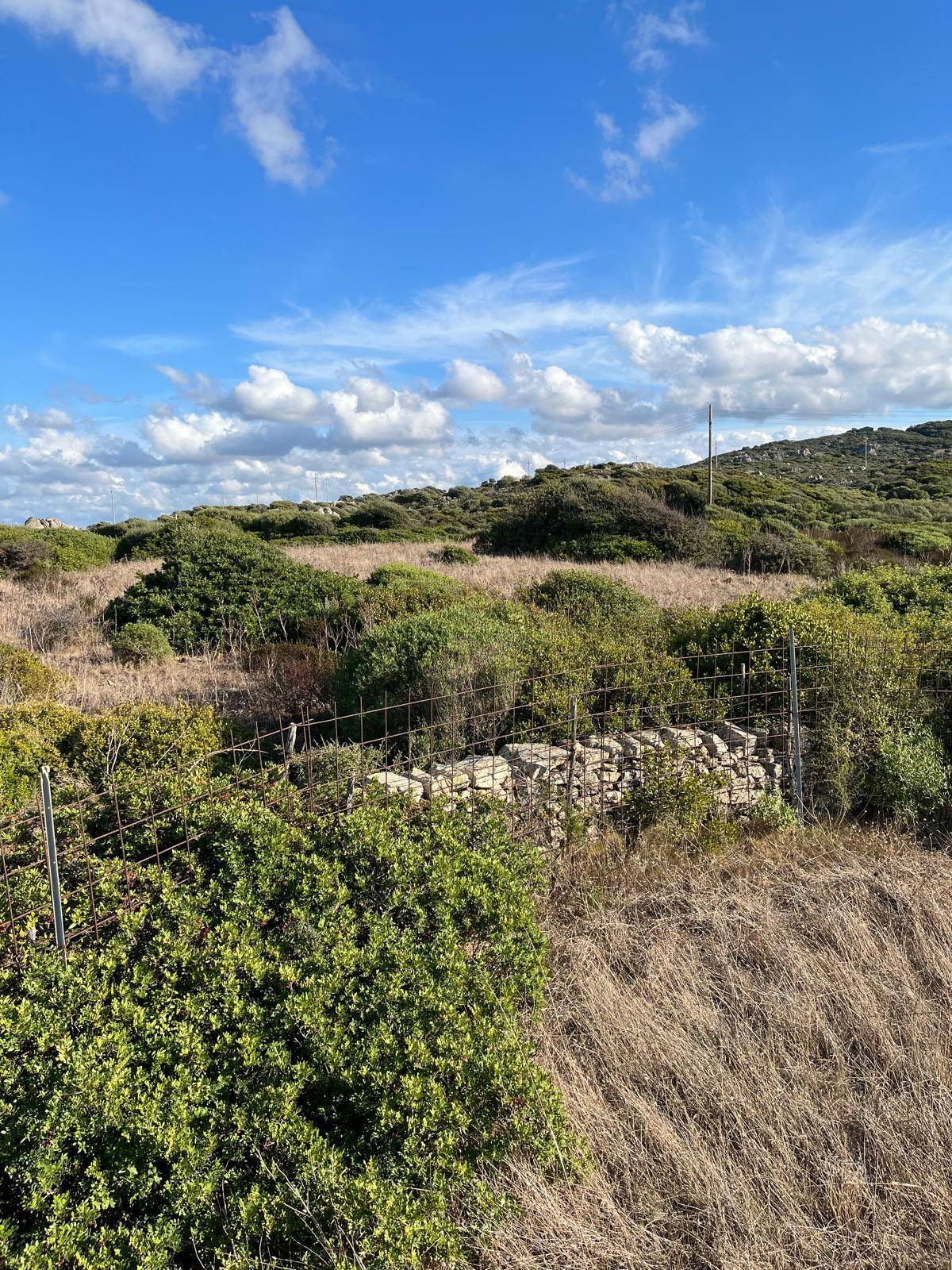 Terreno Agricolo in vendita a Santa Teresa Gallura