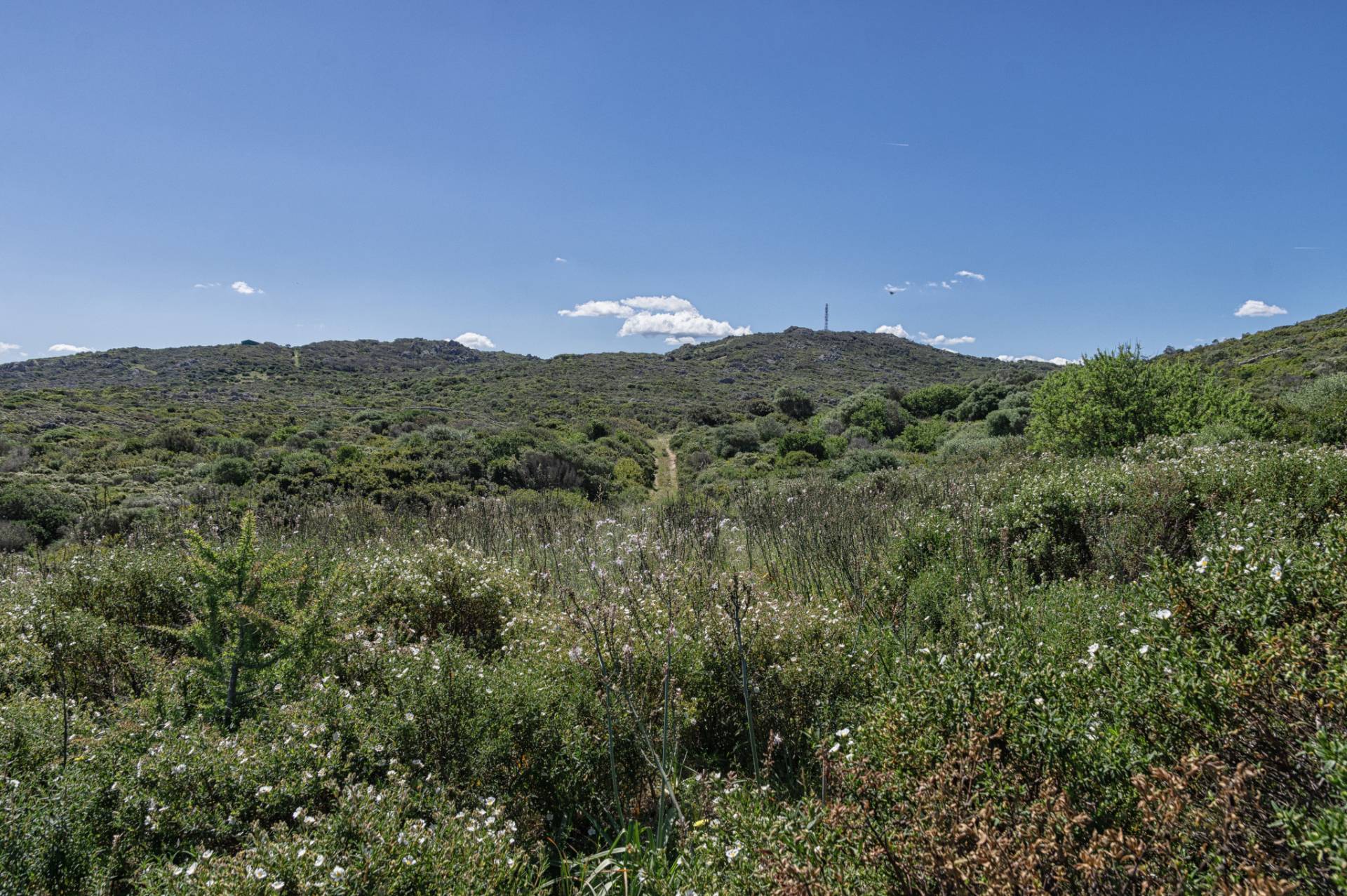 Terreno Agricolo in vendita a Santa Teresa Gallura