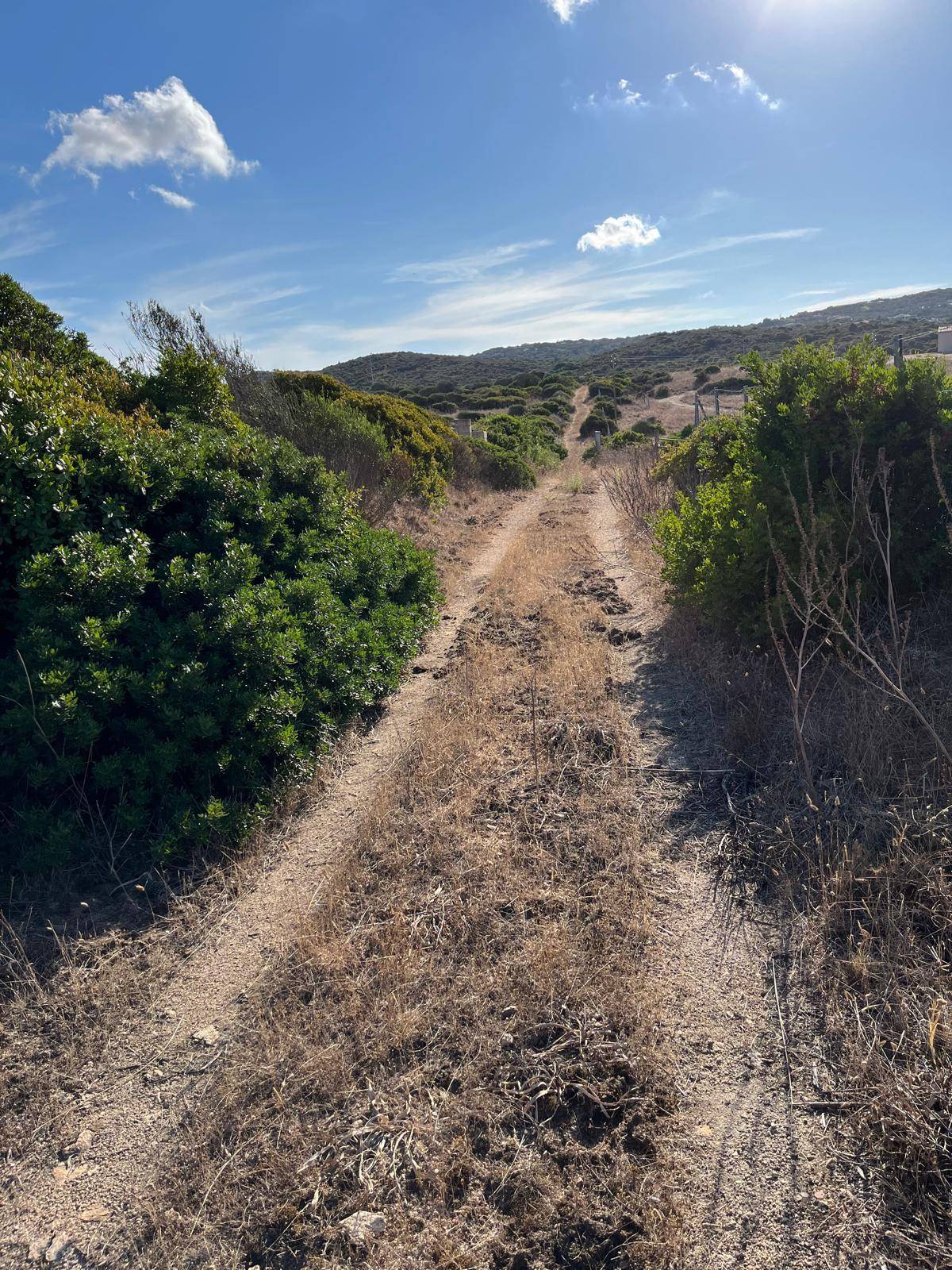 Terreno Agricolo in vendita a Santa Teresa Gallura