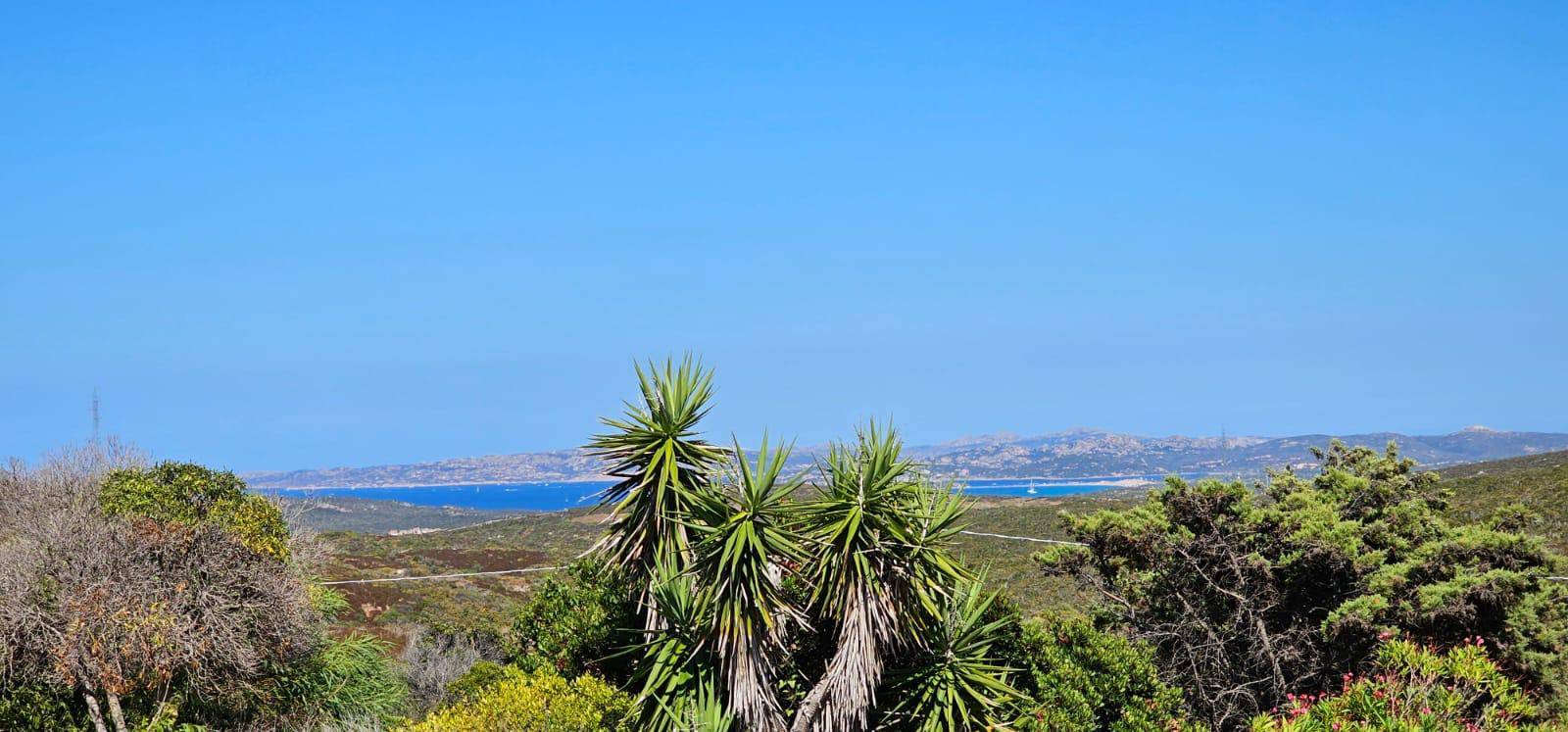 Casa singola in vendita a Santa Teresa Gallura