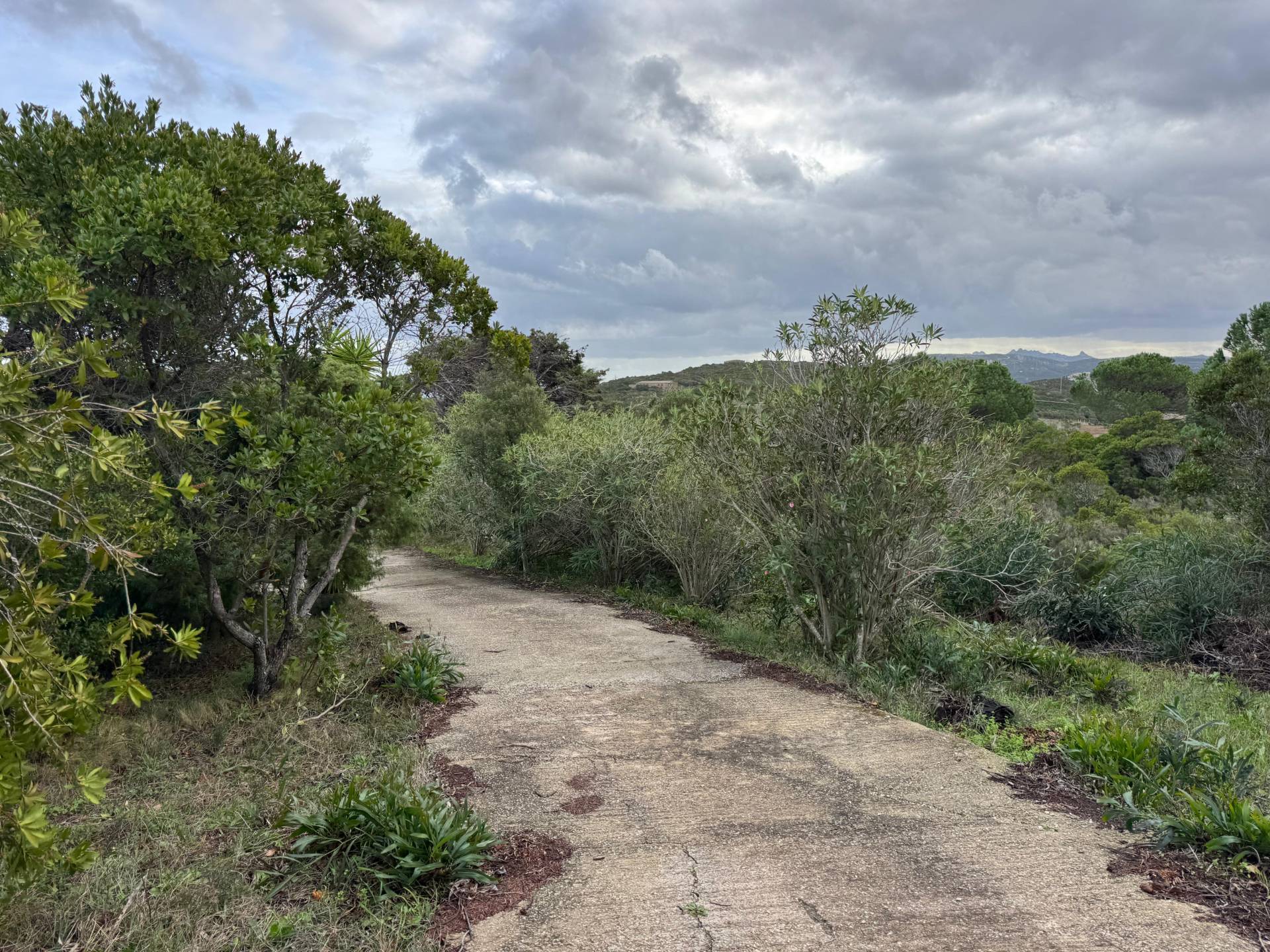 Casa singola in vendita a Santa Teresa Gallura