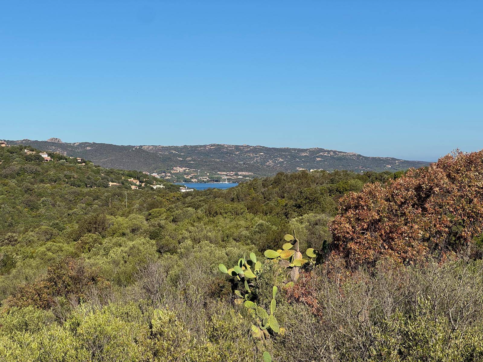 Terreno Agricolo in vendita a Arzachena, Baja Sardinia