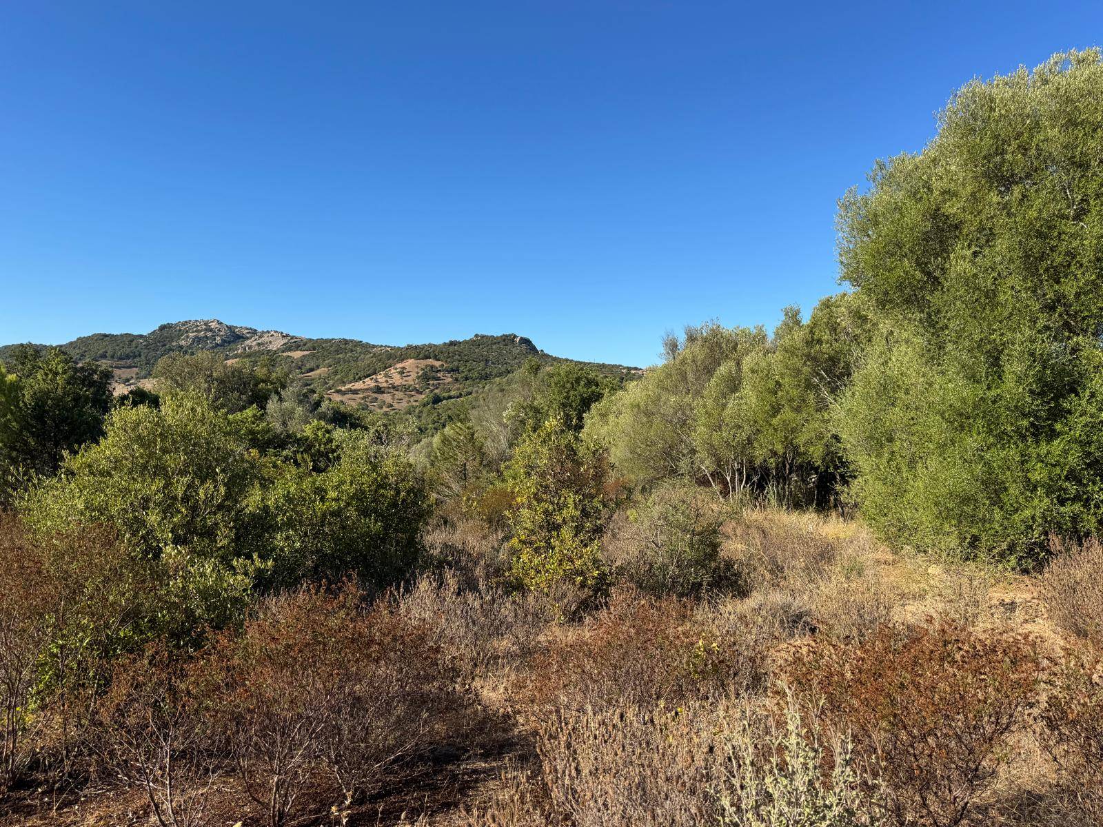 Terreno Agricolo in vendita a Arzachena, Baja Sardinia