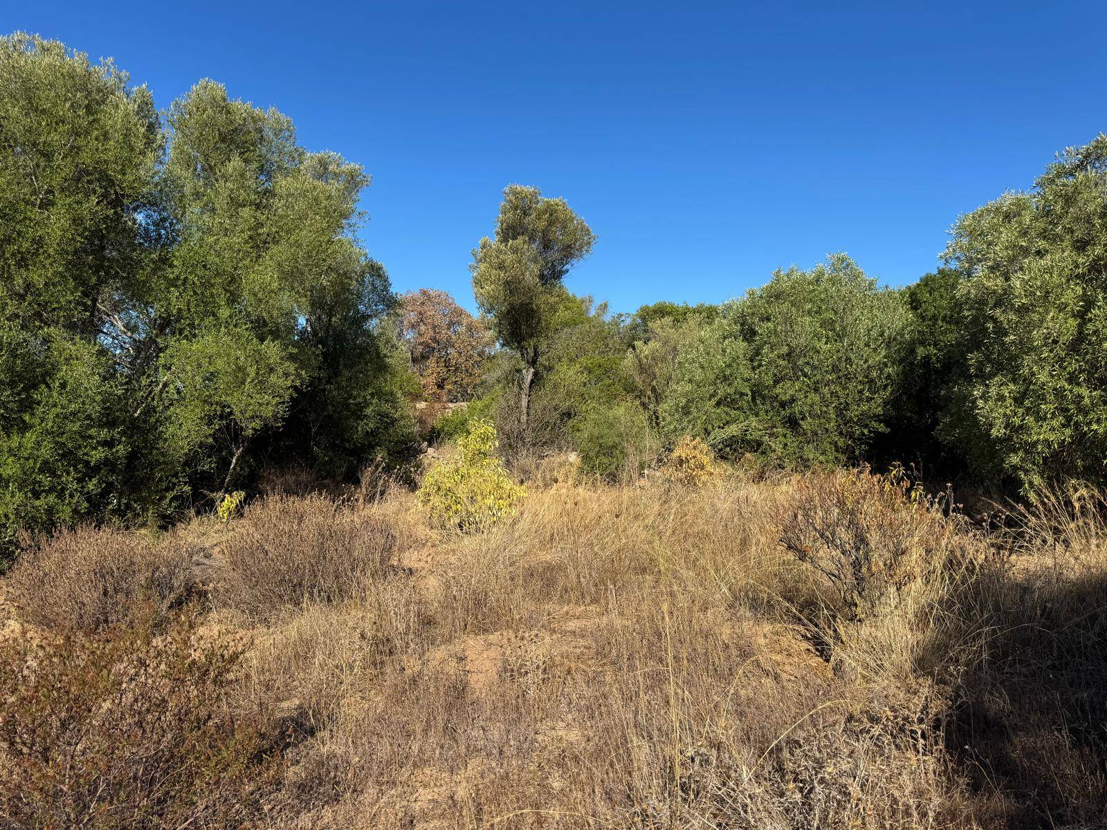 Terreno Agricolo in vendita a Arzachena, Baja Sardinia