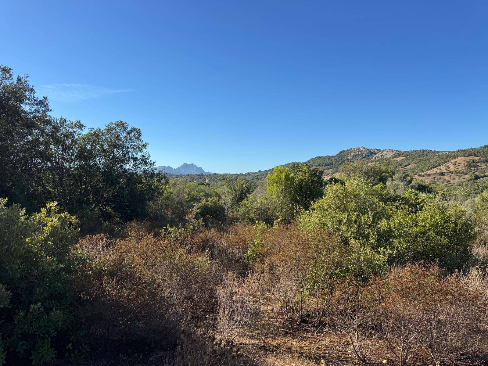 Terreno Agricolo in vendita a Arzachena, Baja Sardinia