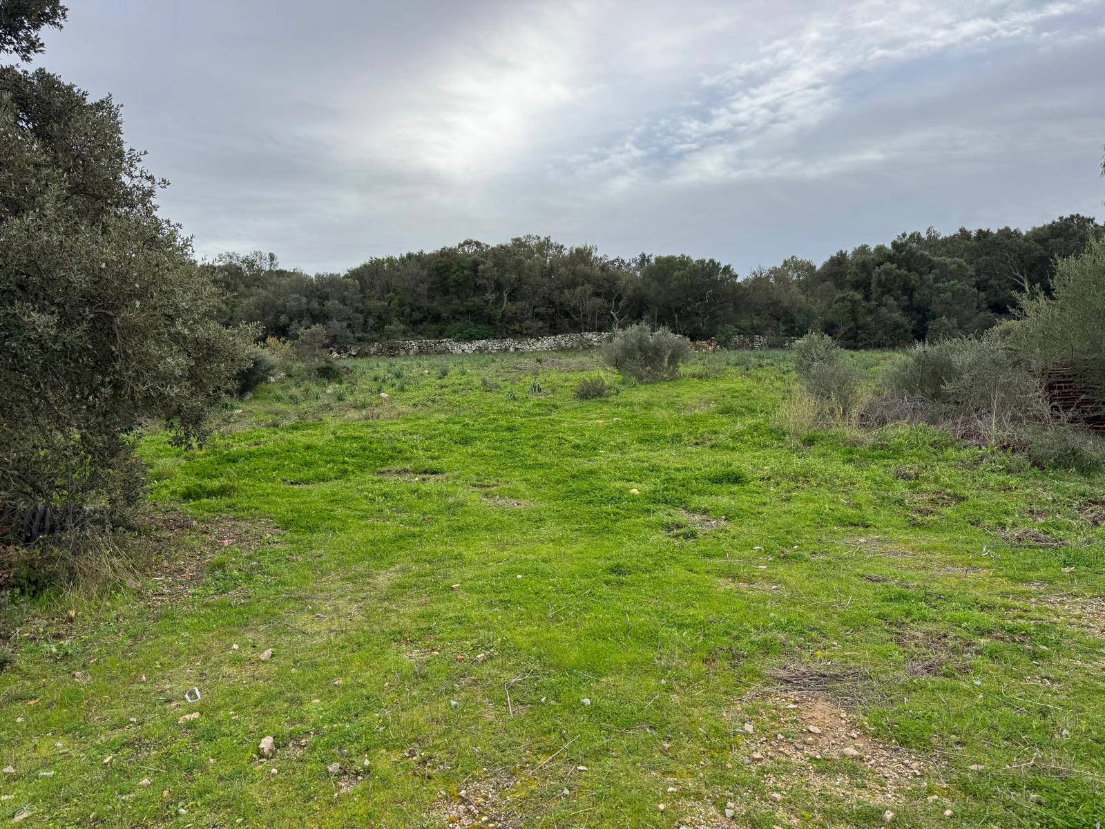 TERRENO EDIFICABILE LUOGOSANTO ZONA C in vendita a Luogosanto