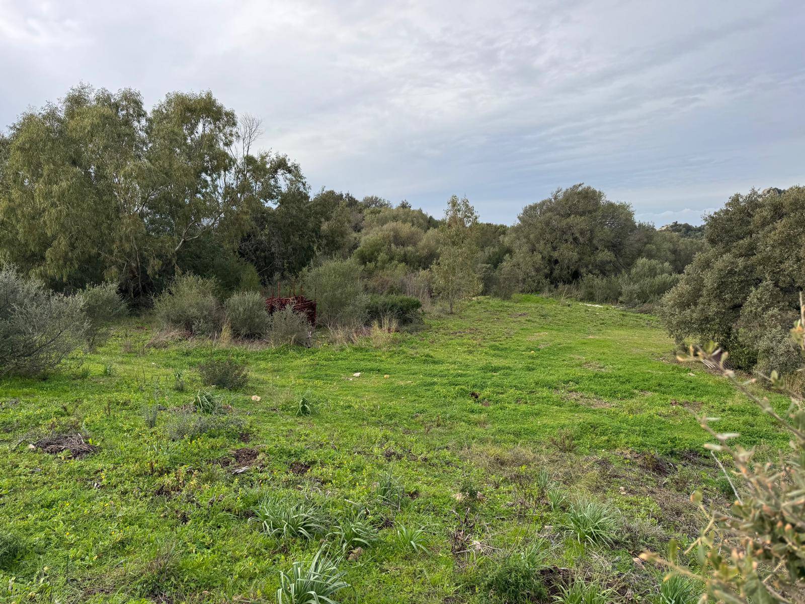 TERRENO EDIFICABILE LUOGOSANTO ZONA C in vendita a Luogosanto