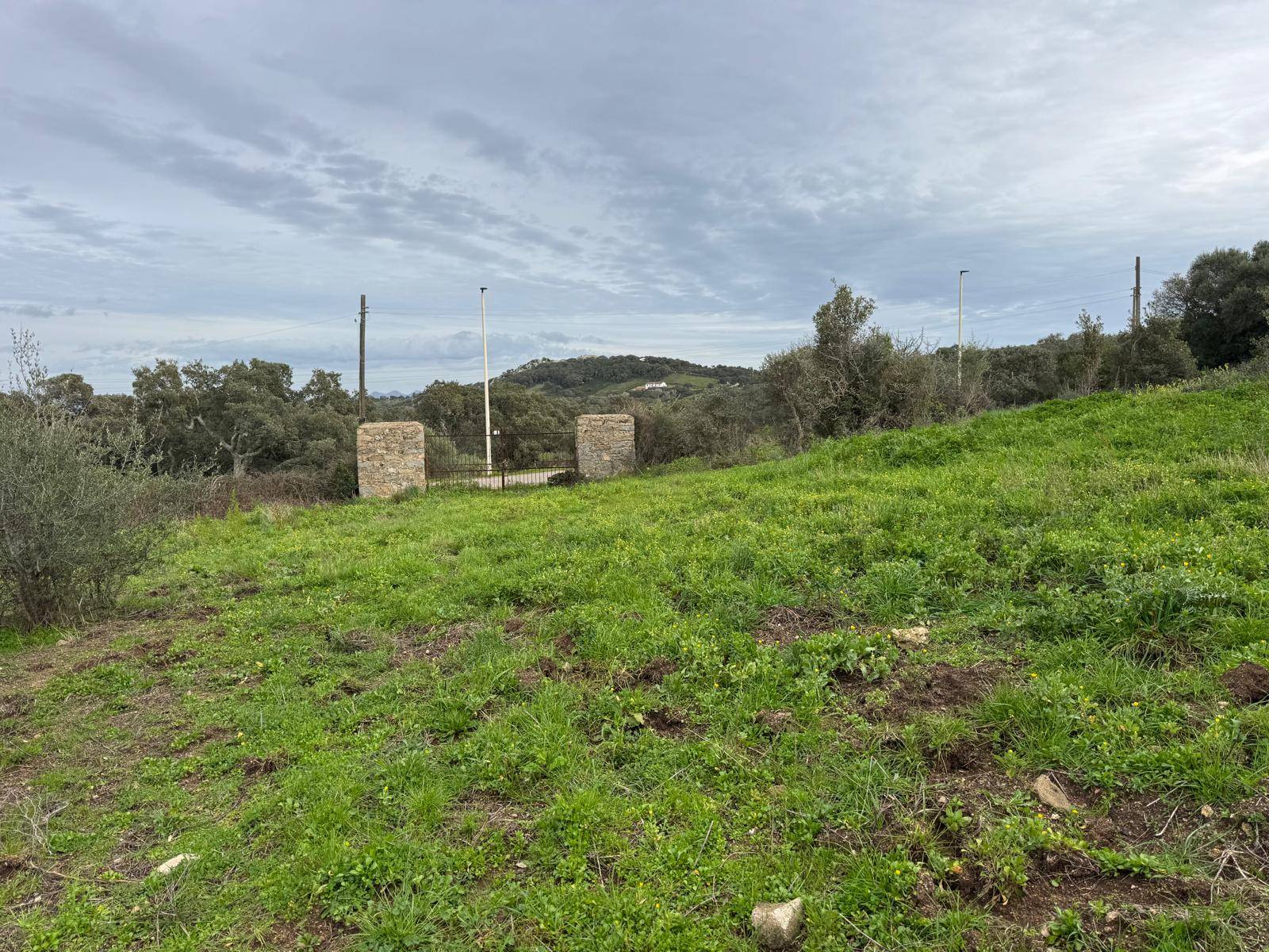 TERRENO EDIFICABILE LUOGOSANTO ZONA C in vendita a Luogosanto