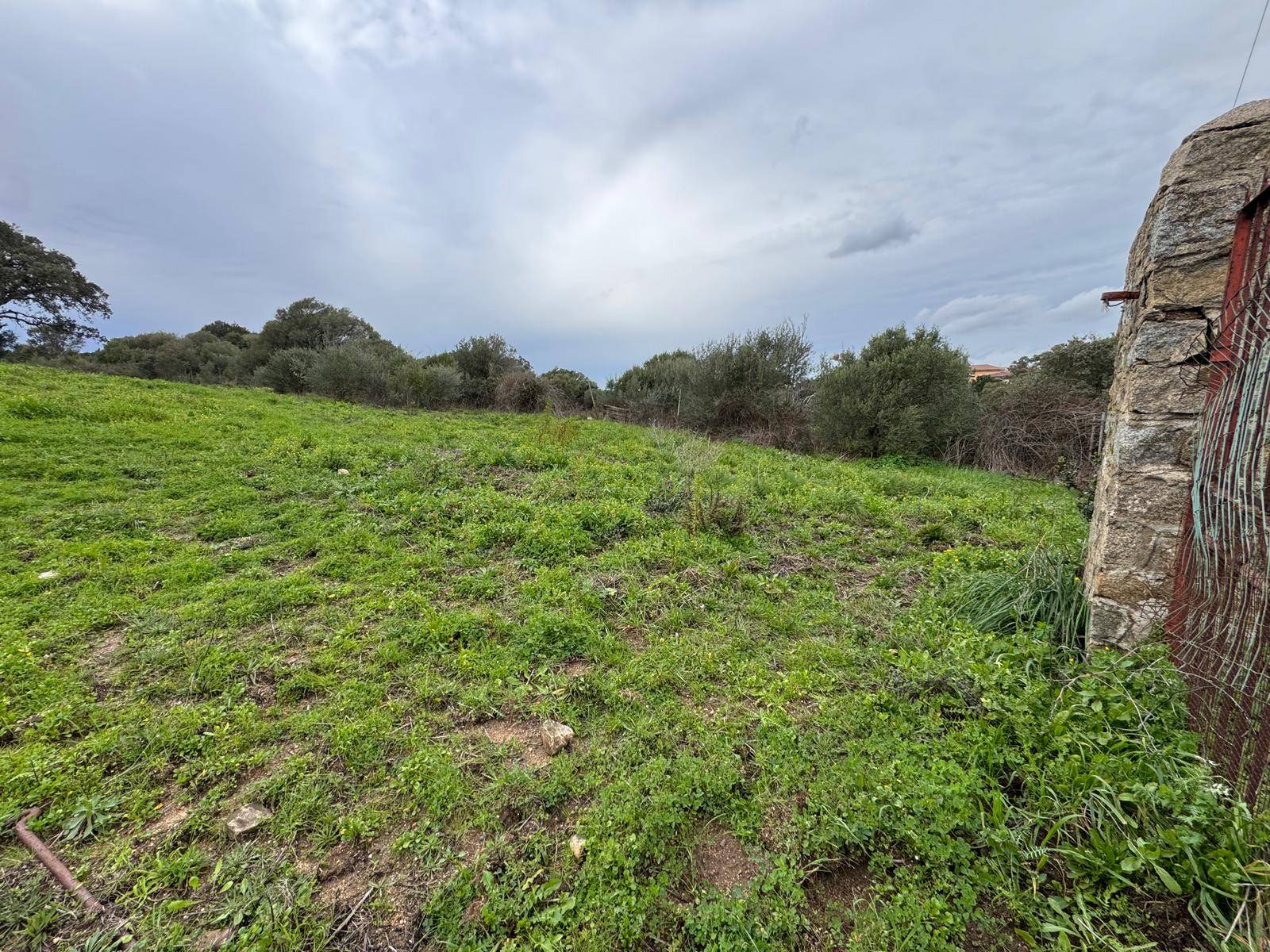 TERRENO EDIFICABILE LUOGOSANTO ZONA C in vendita a Luogosanto