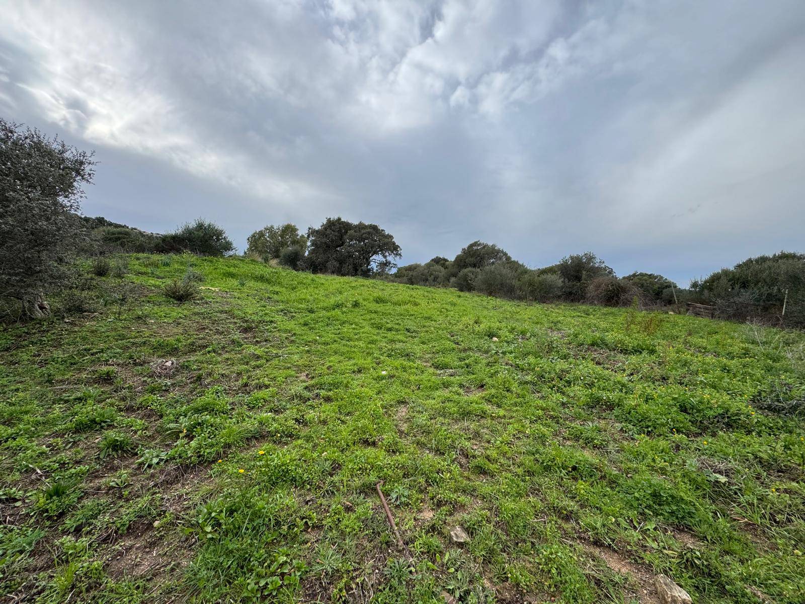 TERRENO EDIFICABILE LUOGOSANTO ZONA C in vendita a Luogosanto