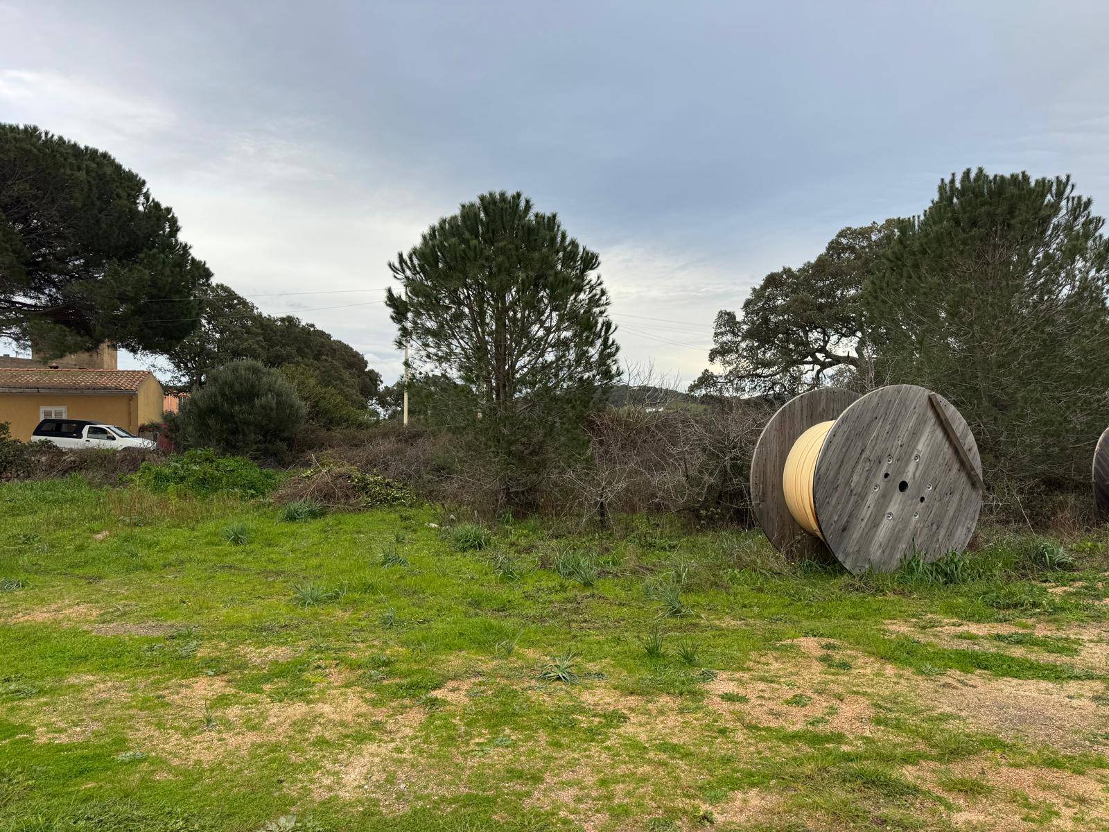 TERRENO EDIFICABILE LUOGOSANTO ZONA C in vendita a Luogosanto