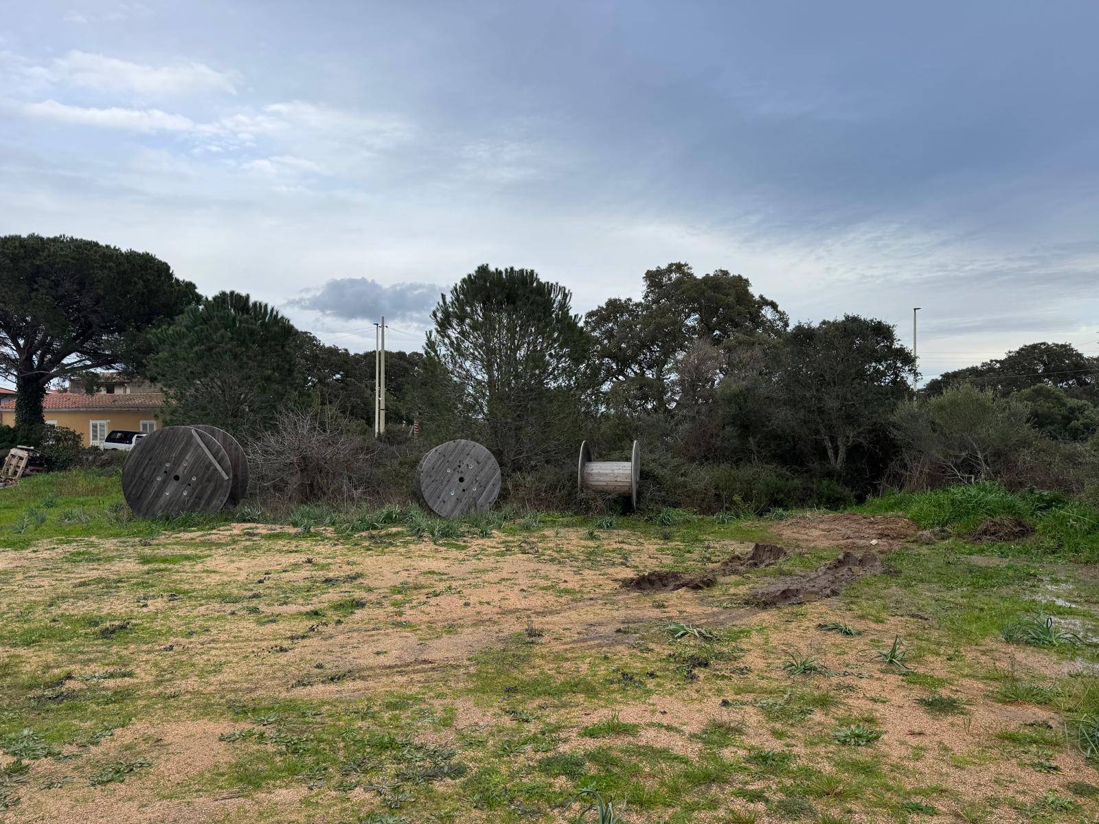 TERRENO EDIFICABILE LUOGOSANTO ZONA C in vendita a Luogosanto