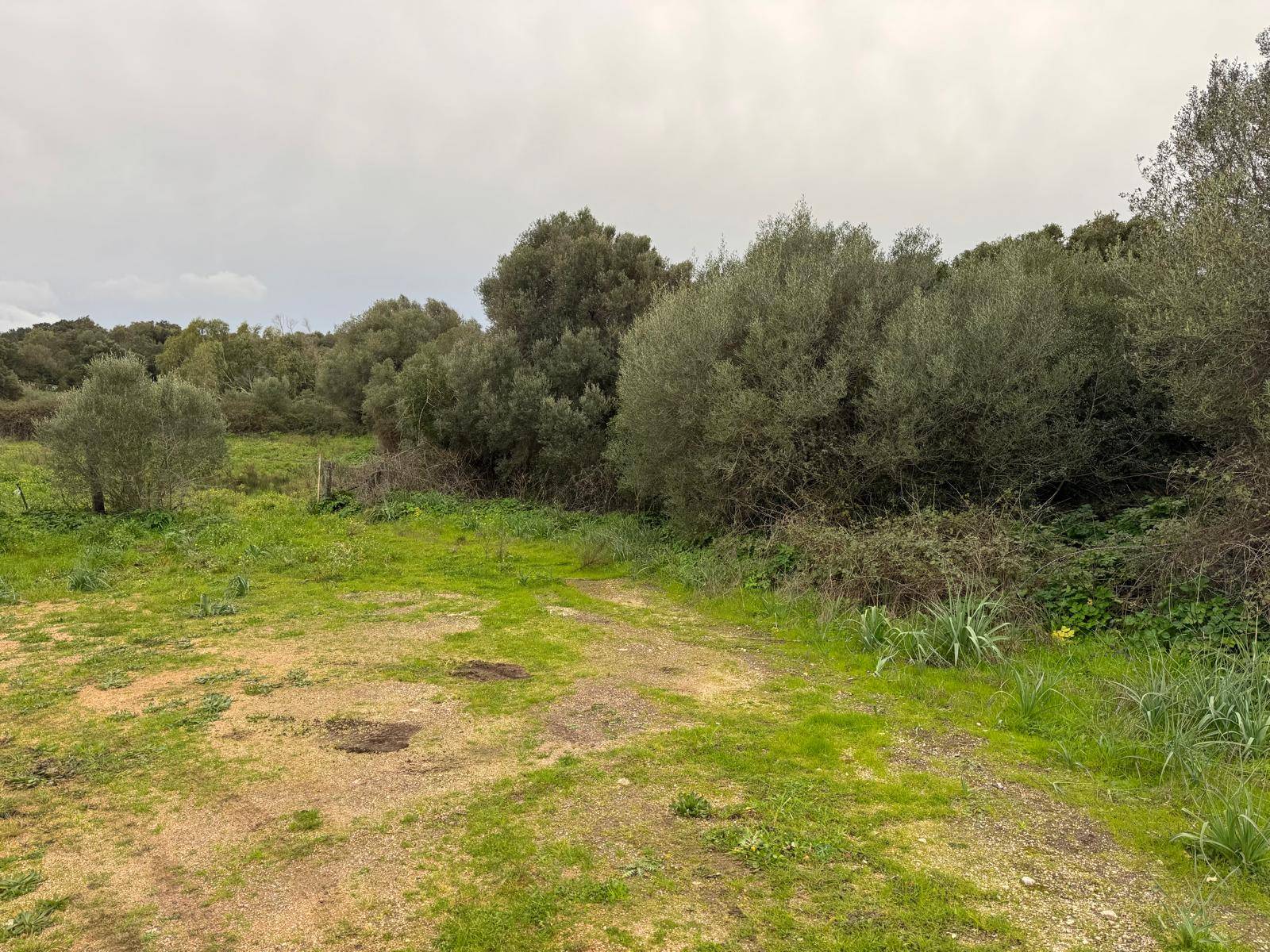 TERRENO EDIFICABILE LUOGOSANTO ZONA C in vendita a Luogosanto