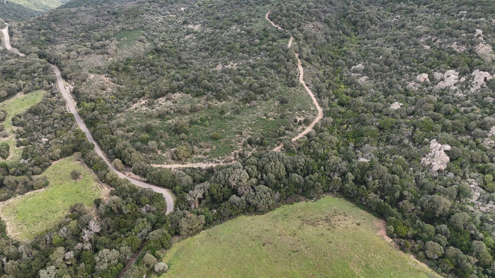 Terreno Agricolo in vendita a Aglientu