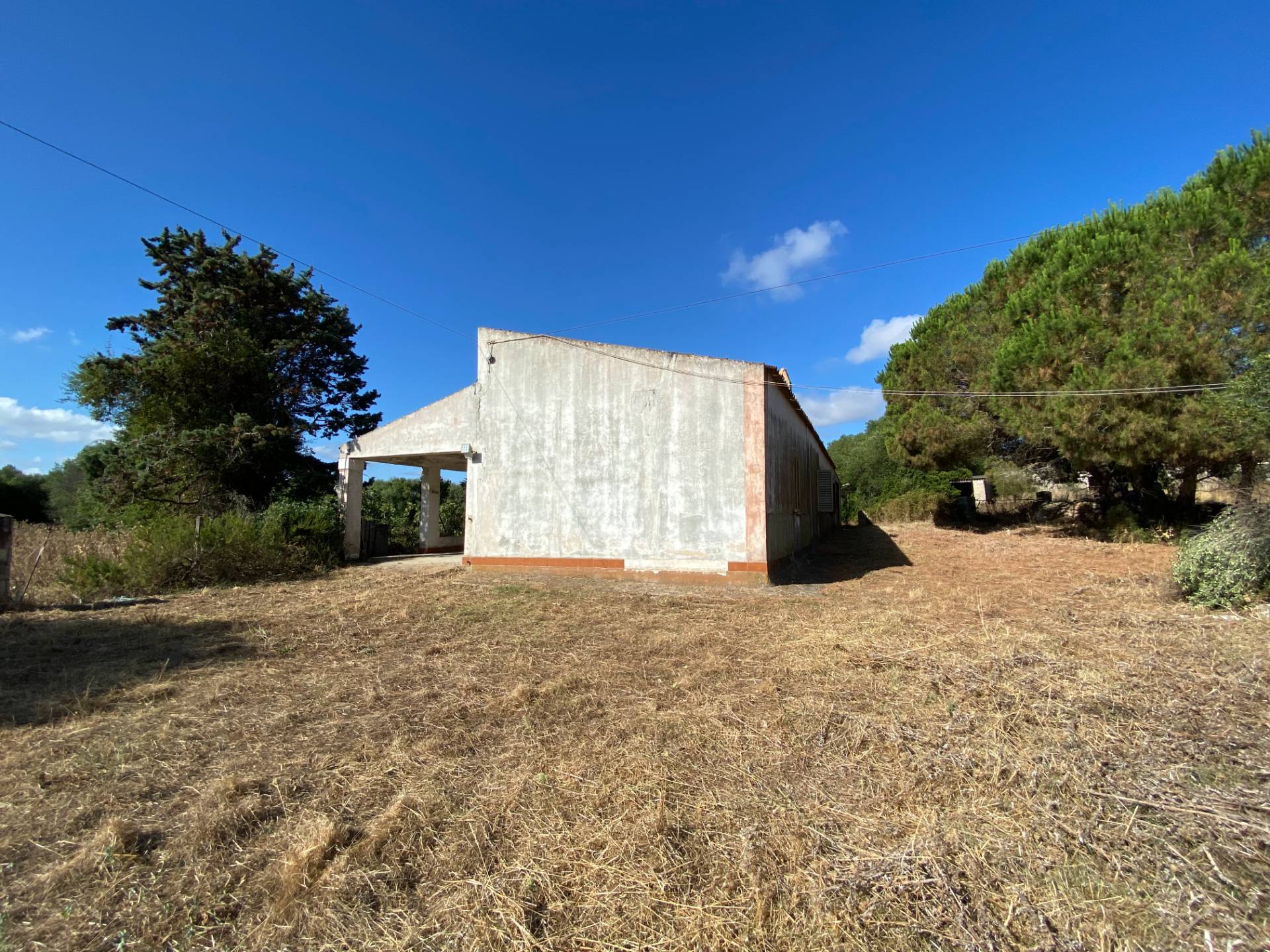 Stazzo Giacumoni in vendita a Luogosanto