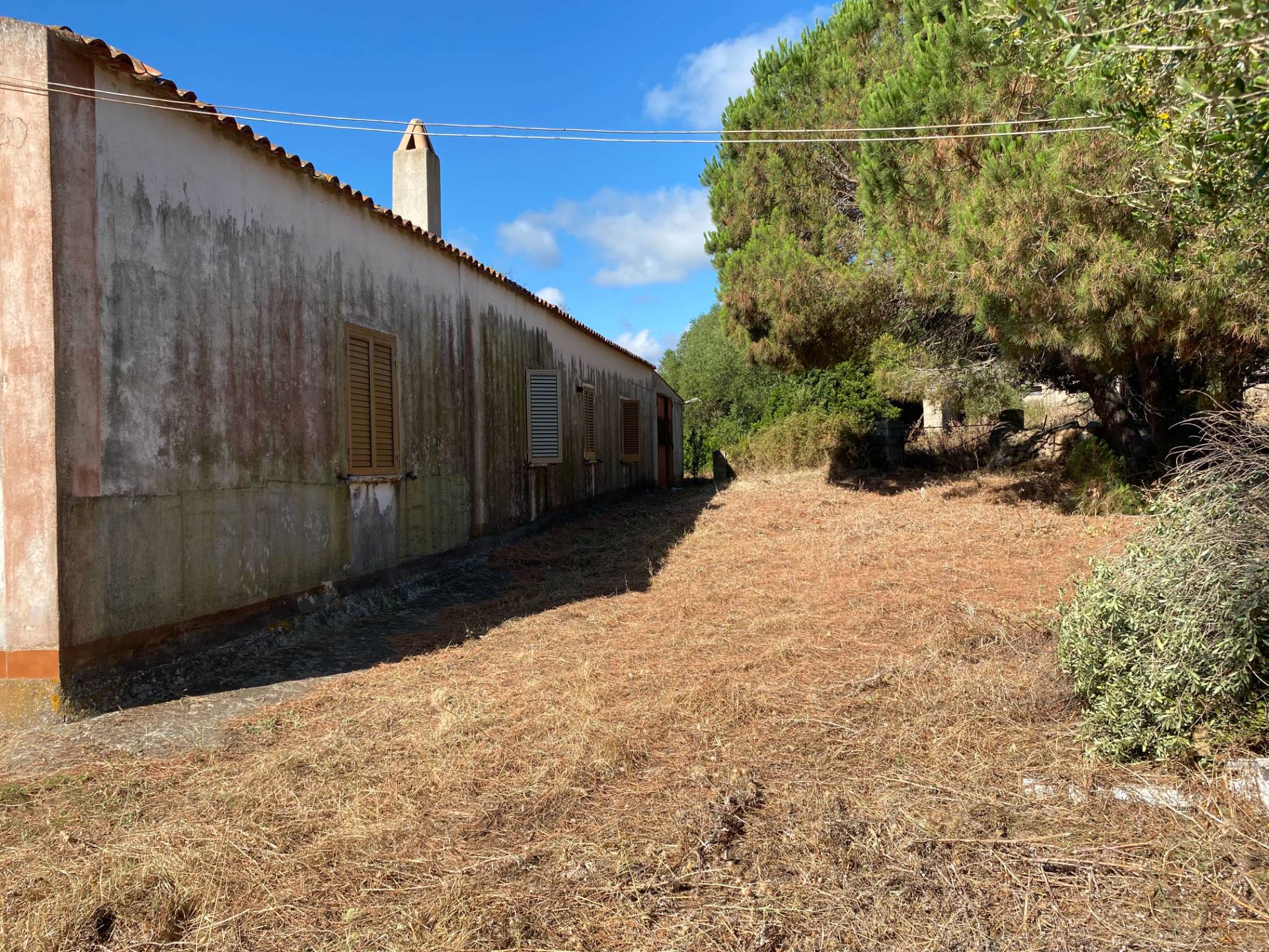 Stazzo Giacumoni in vendita a Luogosanto