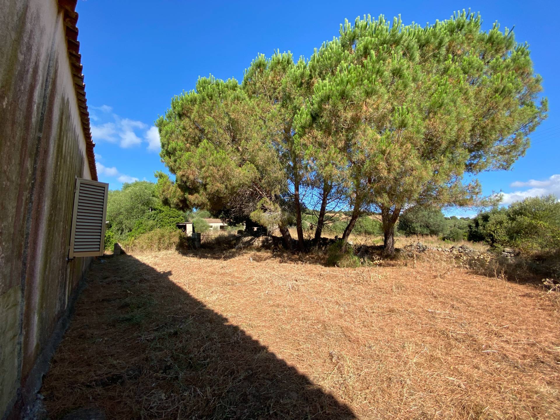 Stazzo Giacumoni in vendita a Luogosanto