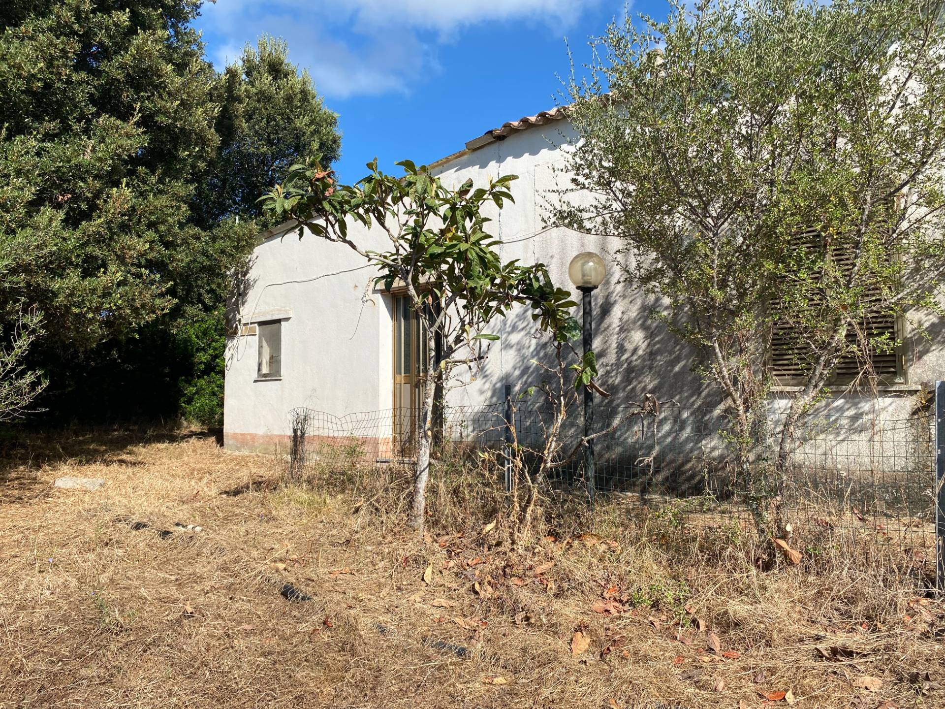 Stazzo Giacumoni in vendita a Luogosanto
