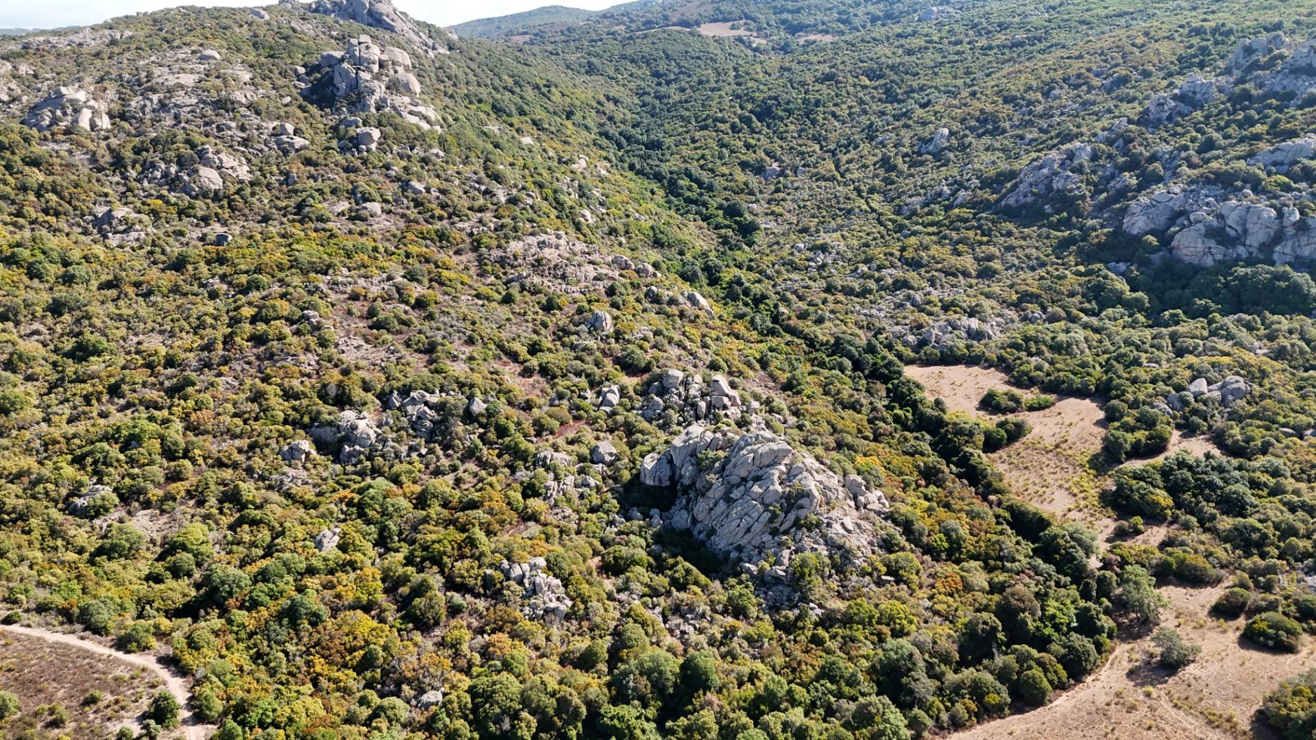 Terreno Agricolo in vendita a Aglientu