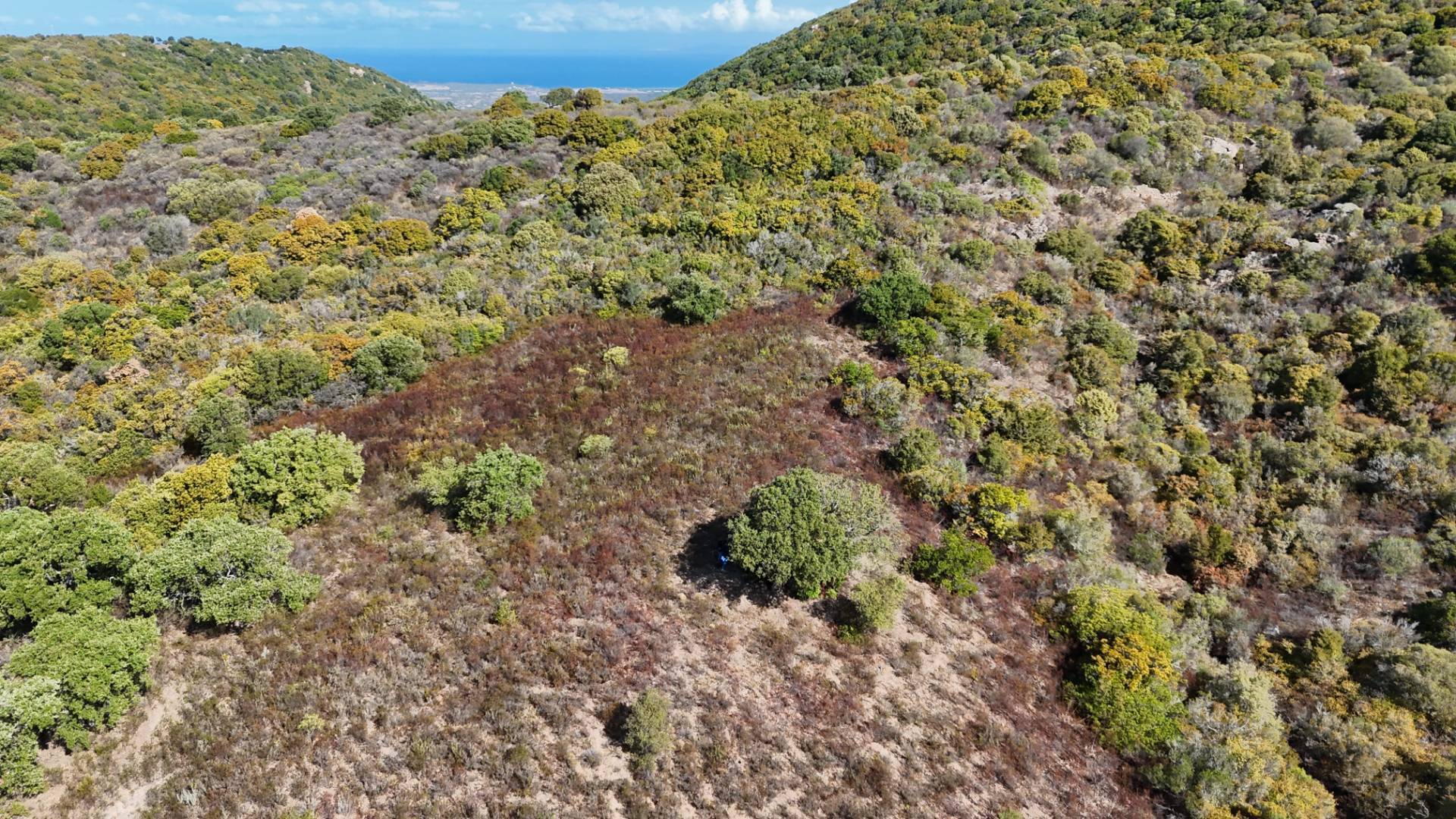 Terreno Agricolo in vendita a Aglientu, Vignola Mare